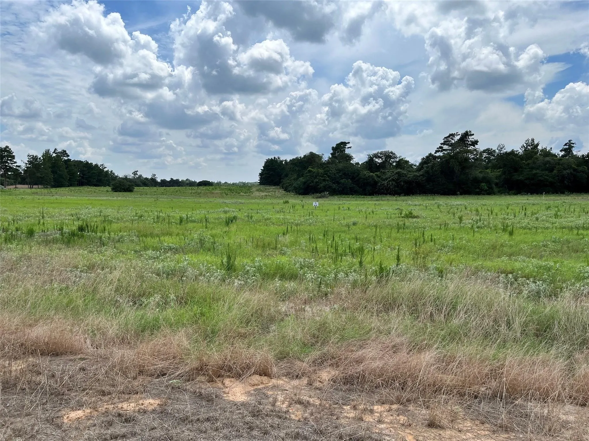 Unimproved Land For Sale in Leon County , 94 PR 1315 10.01 Acre TR 94, Centerville, Texas 75833, 0, 0, Garage spaces, 0 Sqft, built in 0, mls#20700293, Real Estate Agent in Centerville, Homes For Sale in Leon county, Homes For Sale in Centerville, Realtor in Centerville Texas, Real Estate Brokerage Independent Realty Texas, Luminita Cordes Realtor