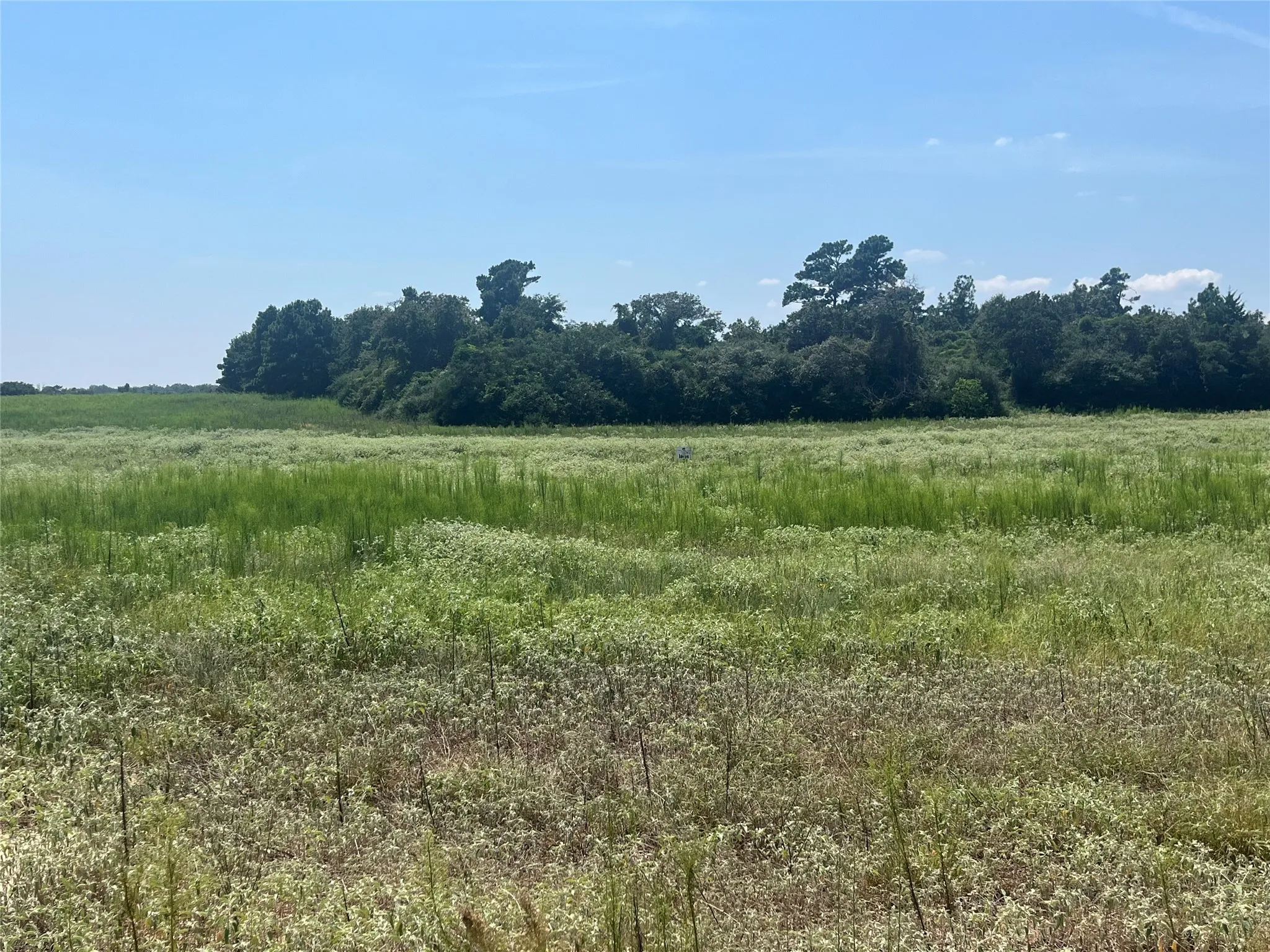 Unimproved Land For Sale in Leon County , 94 PR 1315 10.01 Acre TR 94, Centerville, Texas 75833, 0, 0, Garage spaces, 0 Sqft, built in 0, mls#20700293, Real Estate Agent in Centerville, Homes For Sale in Leon county, Homes For Sale in Centerville, Realtor in Centerville Texas, Real Estate Brokerage Independent Realty Texas, Luminita Cordes Realtor