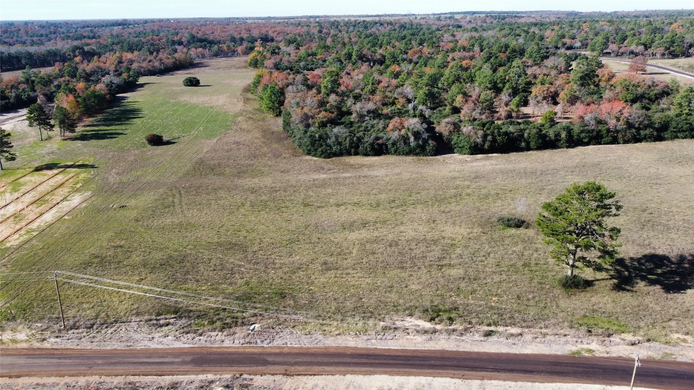 Unimproved Land For Sale in Leon County , 94 PR 1315 10.01 Acre TR 94, Centerville, Texas 75833, 0, 0, Garage spaces, 0 Sqft, built in 0, mls#20700293, Real Estate Agent in Centerville, Homes For Sale in Leon county, Homes For Sale in Centerville, Realtor in Centerville Texas, Real Estate Brokerage Independent Realty Texas, Luminita Cordes Realtor