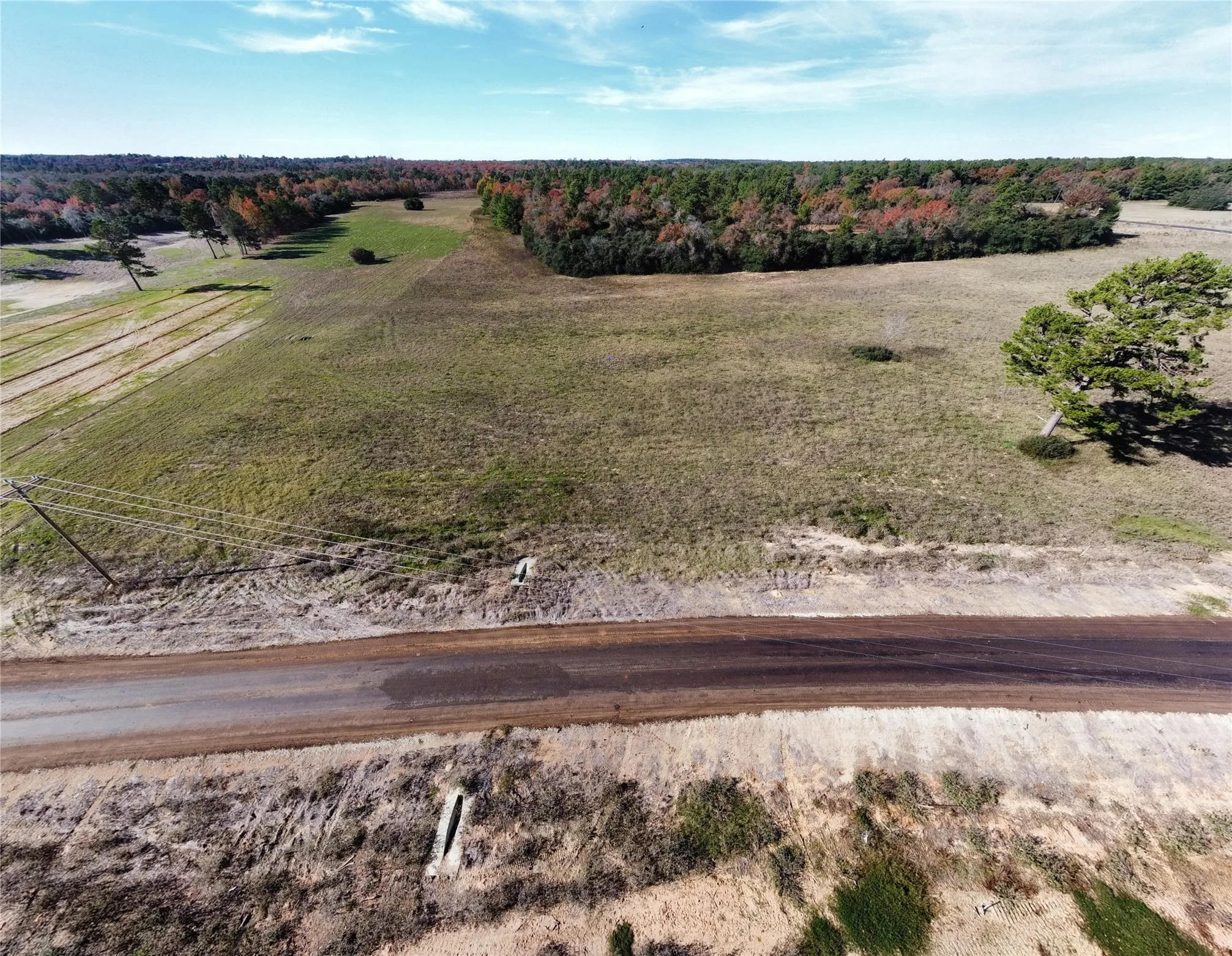 Unimproved Land For Sale in Leon County , 94 PR 1315 10.01 Acre TR 94, Centerville, Texas 75833, 0, 0, Garage spaces, 0 Sqft, built in 0, mls#20700293, Real Estate Agent in Centerville, Homes For Sale in Leon county, Homes For Sale in Centerville, Realtor in Centerville Texas, Real Estate Brokerage Independent Realty Texas, Luminita Cordes Realtor