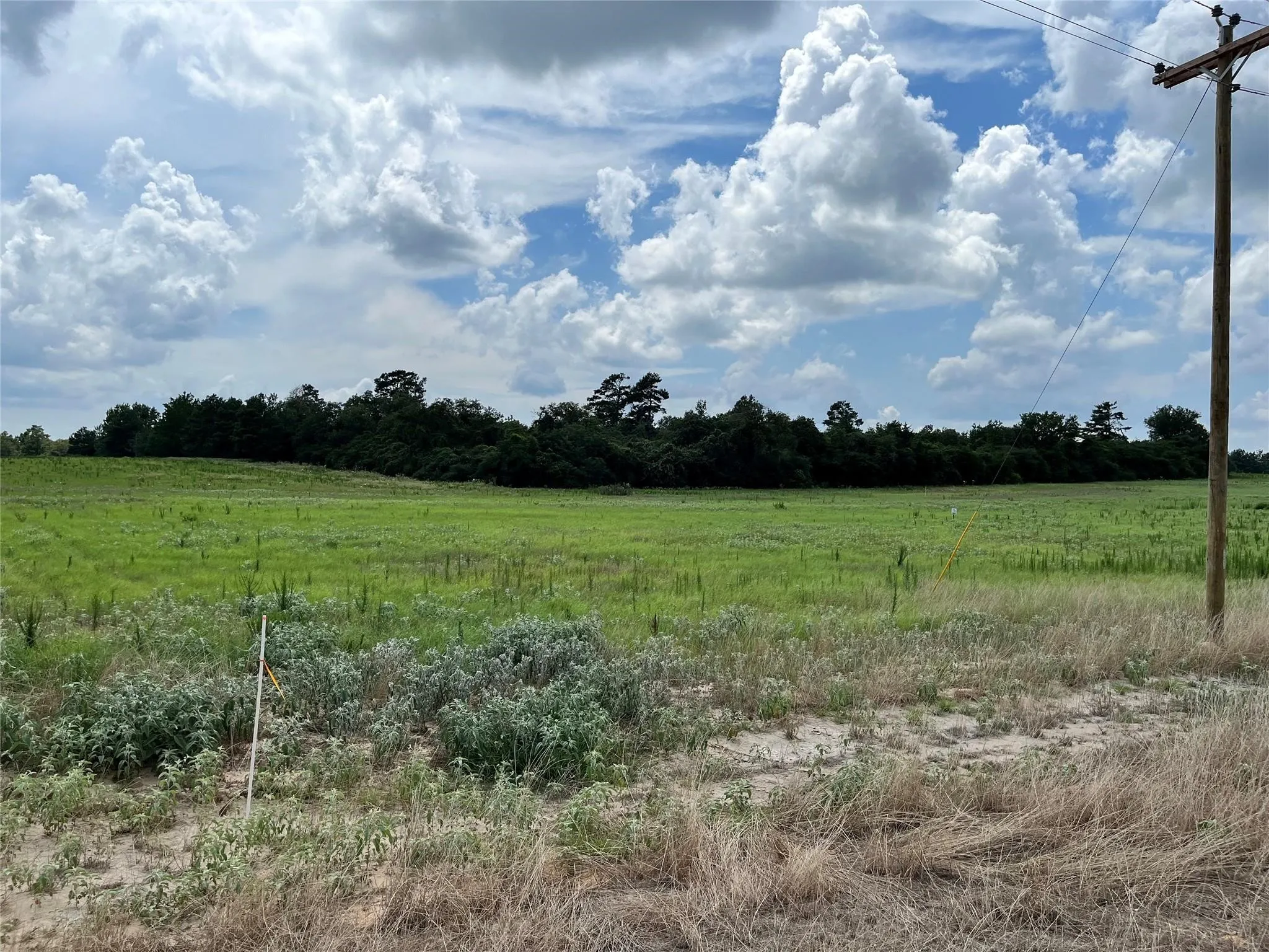 Unimproved Land For Sale in Leon County , 94 PR 1315 10.01 Acre TR 94, Centerville, Texas 75833, 0, 0, Garage spaces, 0 Sqft, built in 0, mls#20700293, Real Estate Agent in Centerville, Homes For Sale in Leon county, Homes For Sale in Centerville, Realtor in Centerville Texas, Real Estate Brokerage Independent Realty Texas, Luminita Cordes Realtor