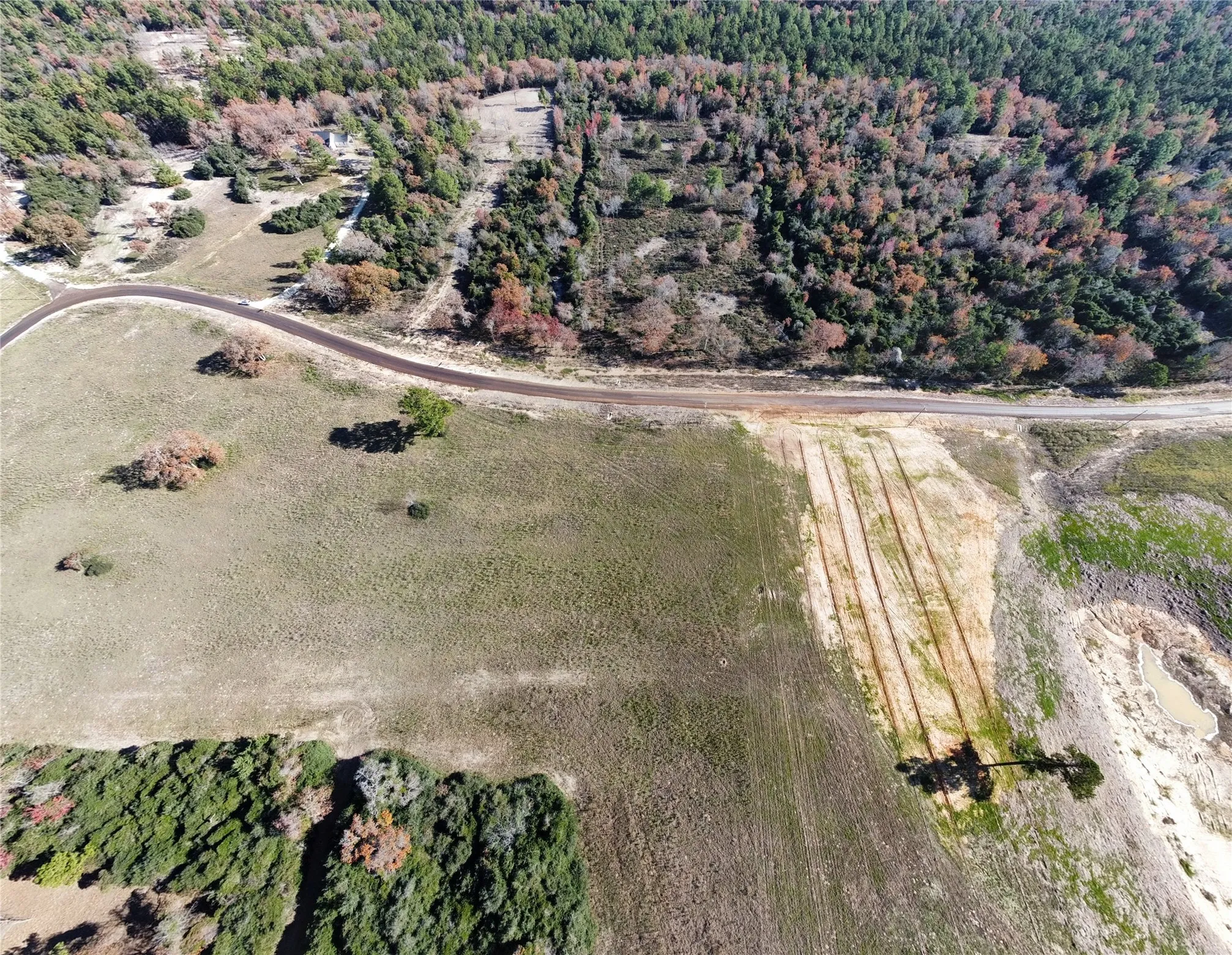 Unimproved Land For Sale in Leon County , 94 PR 1315 10.01 Acre TR 94, Centerville, Texas 75833, 0, 0, Garage spaces, 0 Sqft, built in 0, mls#20700293, Real Estate Agent in Centerville, Homes For Sale in Leon county, Homes For Sale in Centerville, Realtor in Centerville Texas, Real Estate Brokerage Independent Realty Texas, Luminita Cordes Realtor