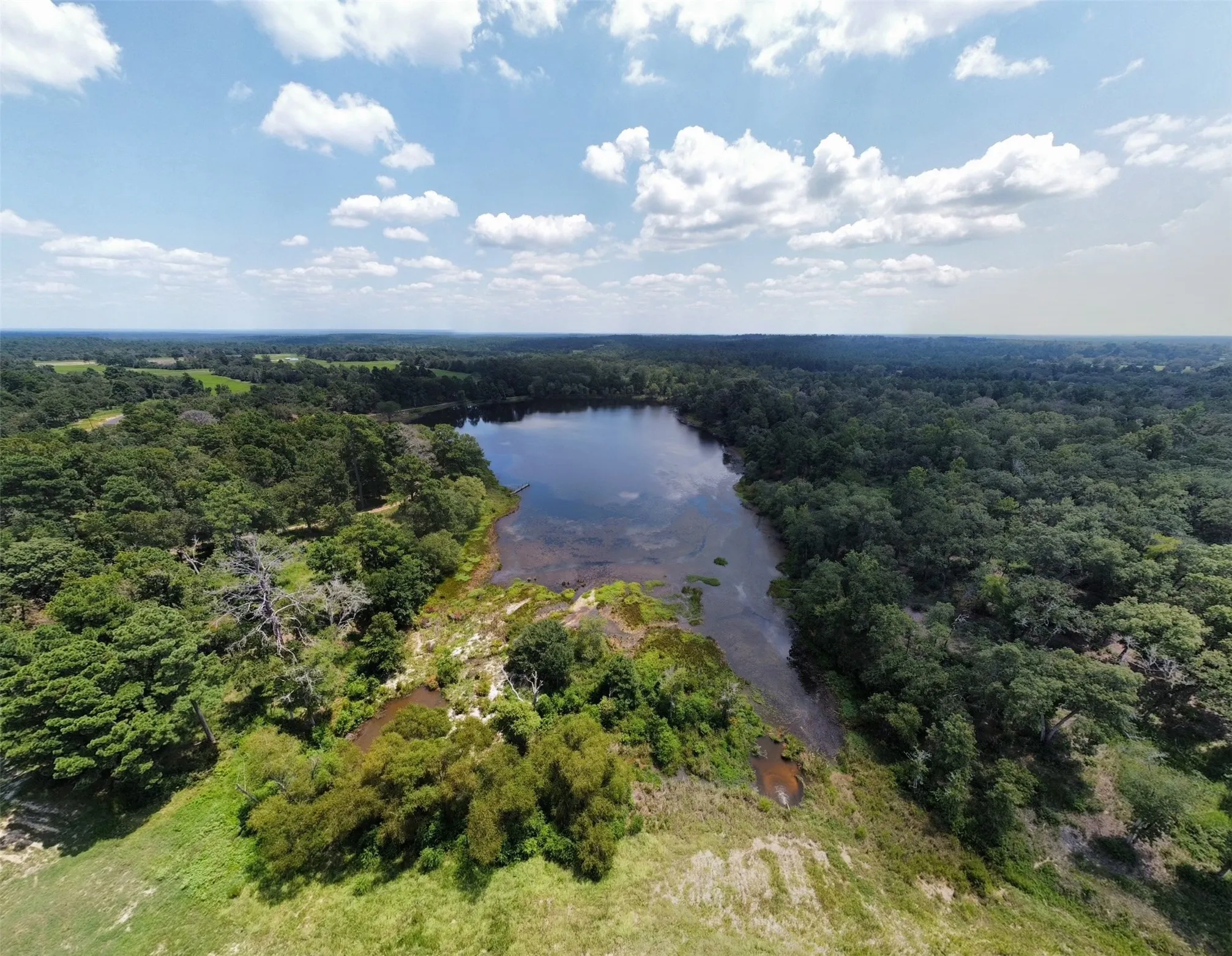 Unimproved Land For Sale in Leon County , 94 PR 1315 10.01 Acre TR 94, Centerville, Texas 75833, 0, 0, Garage spaces, 0 Sqft, built in 0, mls#20700293, Real Estate Agent in Centerville, Homes For Sale in Leon county, Homes For Sale in Centerville, Realtor in Centerville Texas, Real Estate Brokerage Independent Realty Texas, Luminita Cordes Realtor