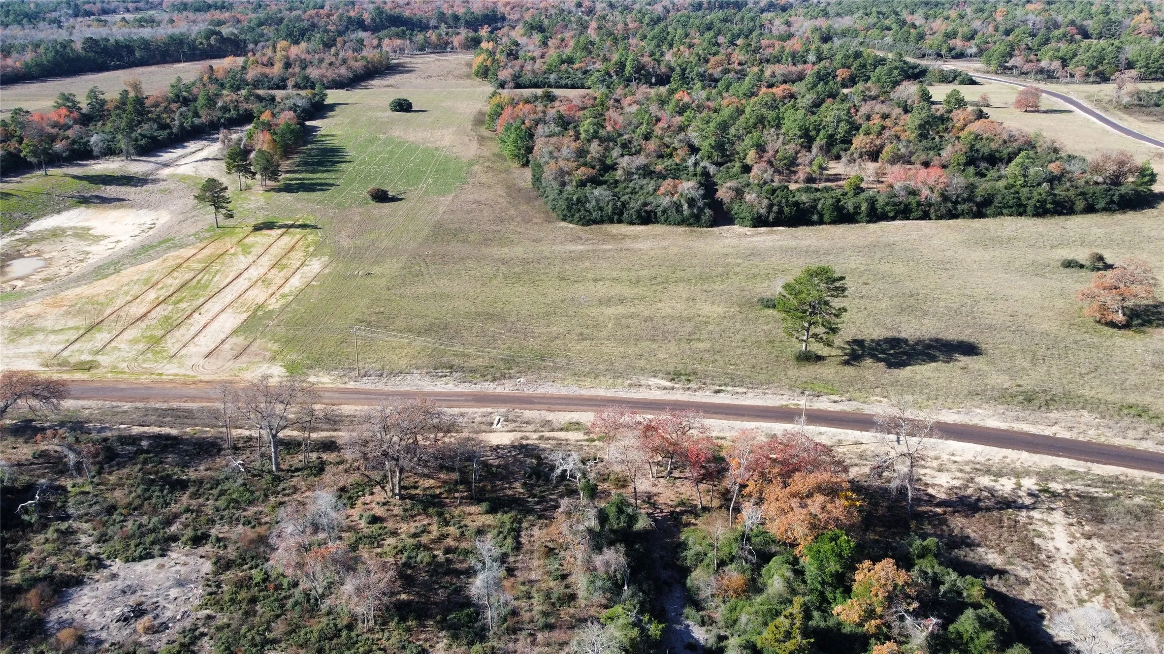 Unimproved Land For Sale in Leon County , 94 PR 1315 10.01 Acre TR 94, Centerville, Texas 75833, 0, 0, Garage spaces, 0 Sqft, built in 0, mls#20700293, Real Estate Agent in Centerville, Homes For Sale in Leon county, Homes For Sale in Centerville, Realtor in Centerville Texas, Real Estate Brokerage Independent Realty Texas, Luminita Cordes Realtor
