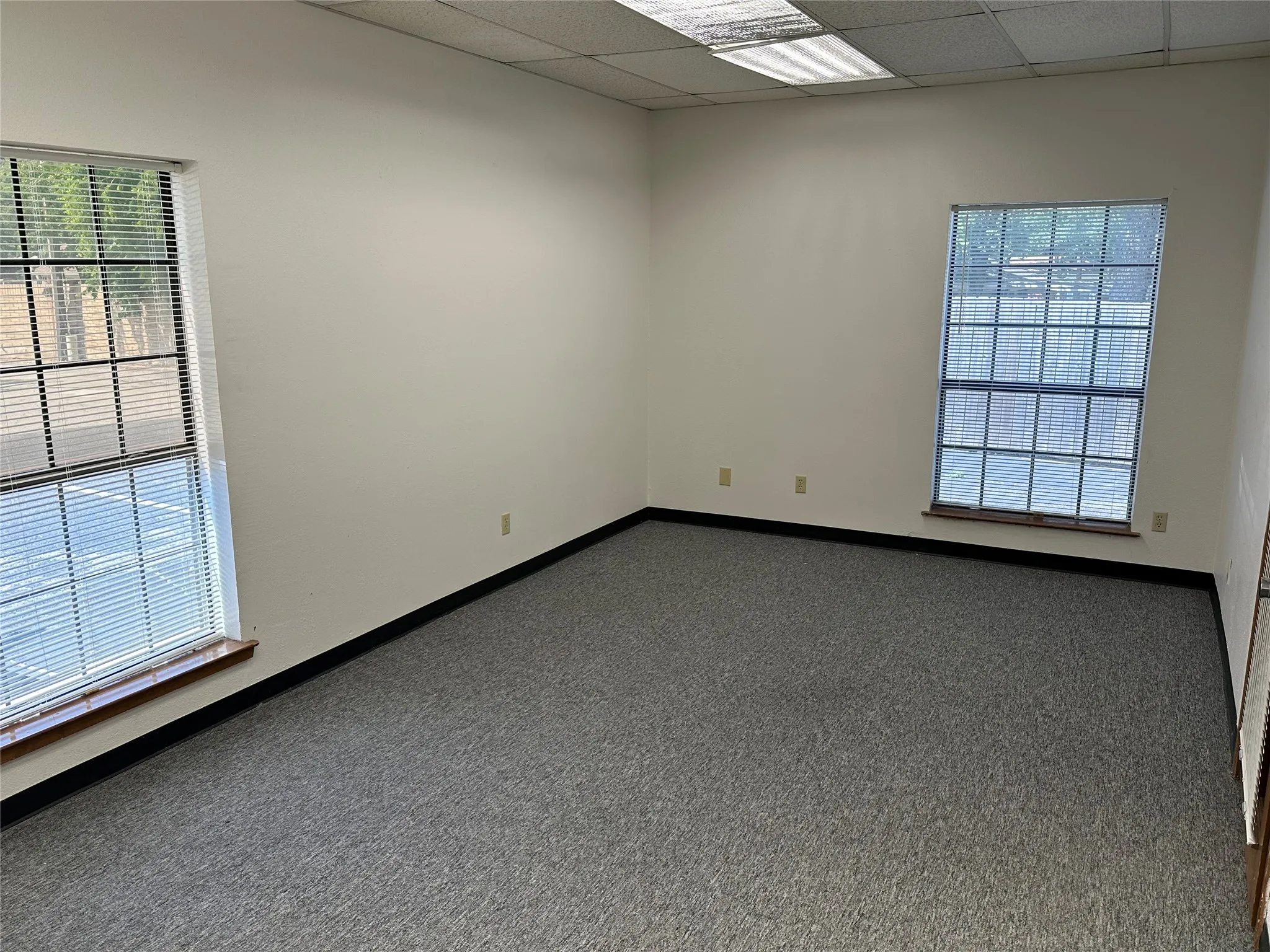 Unfurnished corner office featuring a drop ceiling and carpet floors