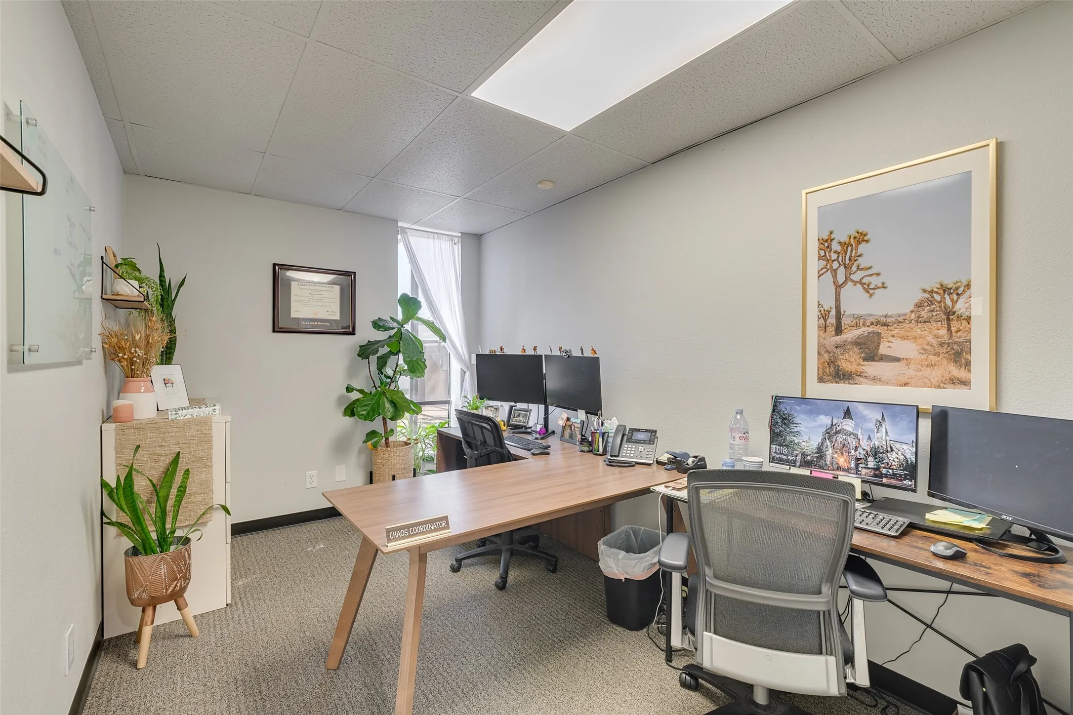 Carpeted office with a paneled ceiling