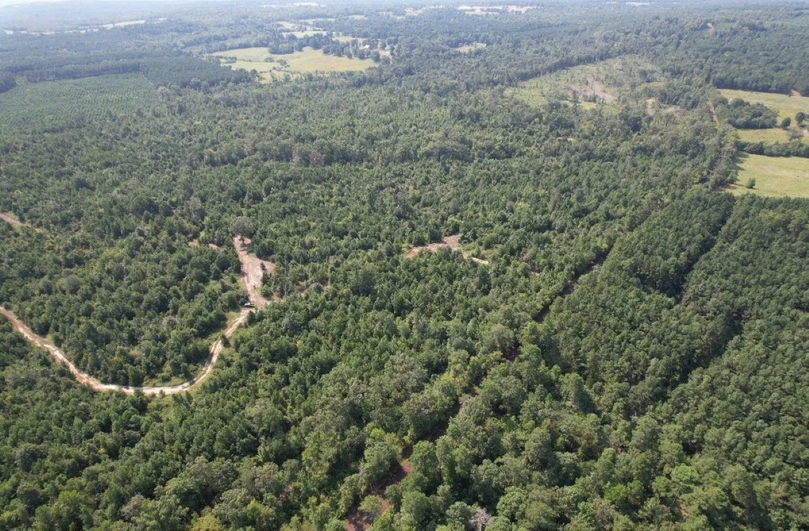 Ranch For Sale in Rusk County , TBD County Road 3163, Laneville, Texas 75667, 0, 0, Garage spaces, 0 Sqft, built in 0, Price $927,000, mls#20701510, Real Estate Agent in Laneville, Homes For Sale in Rusk county, Homes For Sale in Laneville, Realtor in Laneville Texas, Real Estate Brokerage Independent Realty Texas, Luminita Cordes Realtor