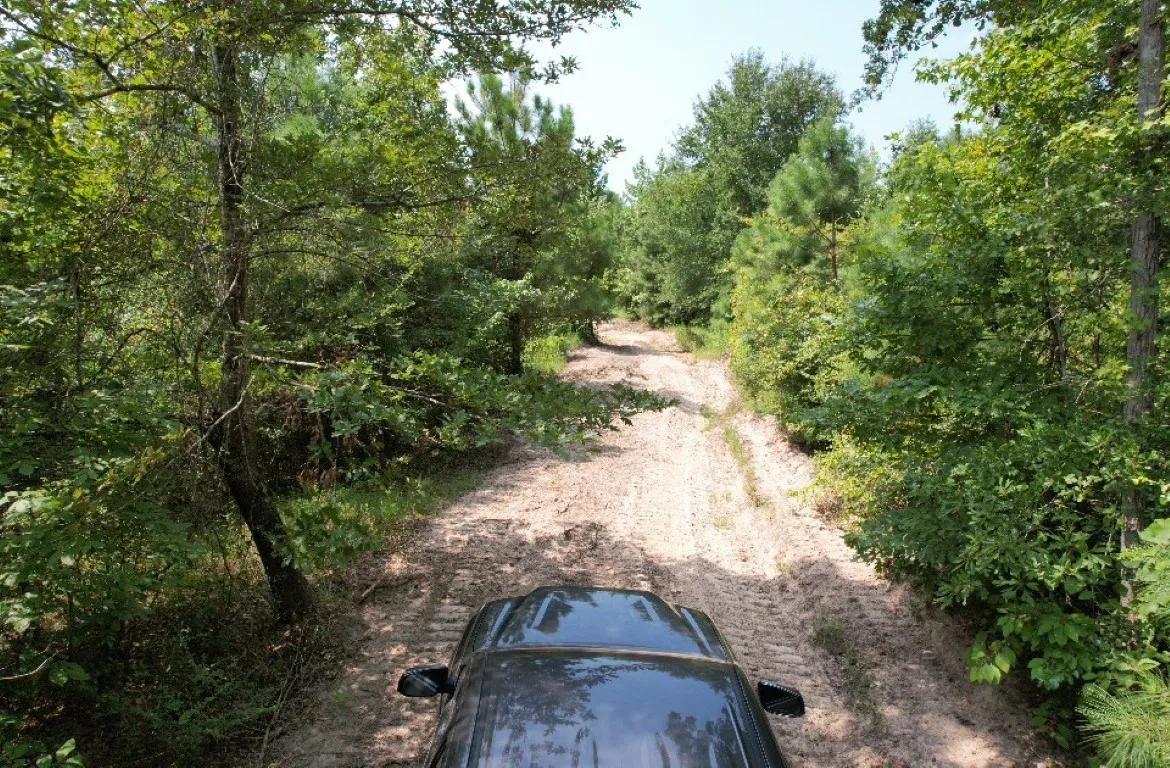 Ranch For Sale in Rusk County , TBD County Road 3163, Laneville, Texas 75667, 0, 0, Garage spaces, 0 Sqft, built in 0, Price $927,000, mls#20701510, Real Estate Agent in Laneville, Homes For Sale in Rusk county, Homes For Sale in Laneville, Realtor in Laneville Texas, Real Estate Brokerage Independent Realty Texas, Luminita Cordes Realtor