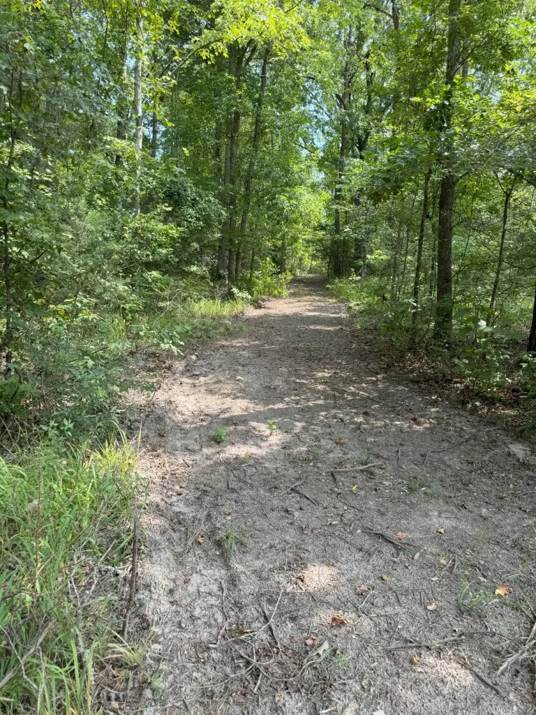Ranch For Sale in Rusk County , TBD County Road 3163, Laneville, Texas 75667, 0, 0, Garage spaces, 0 Sqft, built in 0, Price $927,000, mls#20701510, Real Estate Agent in Laneville, Homes For Sale in Rusk county, Homes For Sale in Laneville, Realtor in Laneville Texas, Real Estate Brokerage Independent Realty Texas, Luminita Cordes Realtor