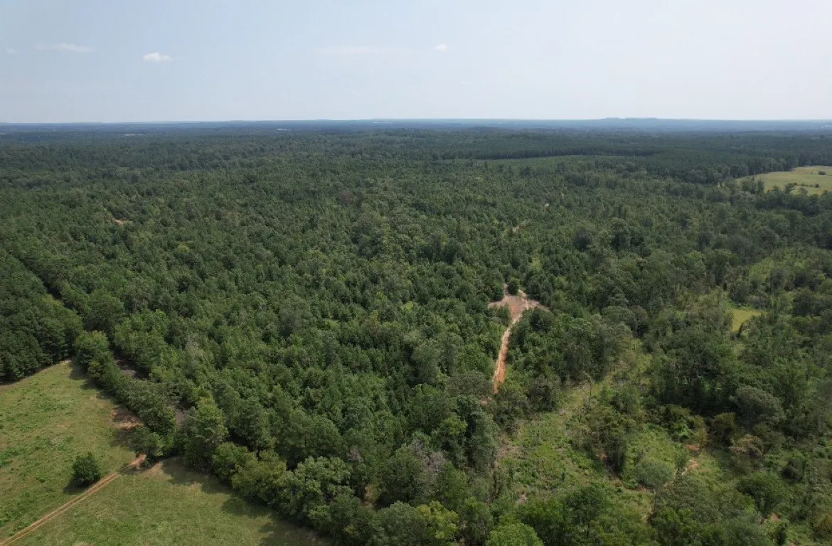 Ranch For Sale in Rusk County , TBD County Road 3163, Laneville, Texas 75667, 0, 0, Garage spaces, 0 Sqft, built in 0, Price $927,000, mls#20701510, Real Estate Agent in Laneville, Homes For Sale in Rusk county, Homes For Sale in Laneville, Realtor in Laneville Texas, Real Estate Brokerage Independent Realty Texas, Luminita Cordes Realtor