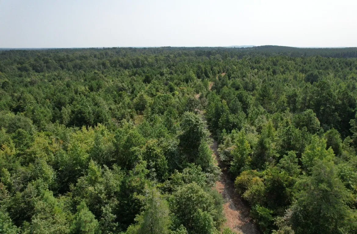 Ranch For Sale in Rusk County , TBD County Road 3163, Laneville, Texas 75667, 0, 0, Garage spaces, 0 Sqft, built in 0, Price $927,000, mls#20701510, Real Estate Agent in Laneville, Homes For Sale in Rusk county, Homes For Sale in Laneville, Realtor in Laneville Texas, Real Estate Brokerage Independent Realty Texas, Luminita Cordes Realtor