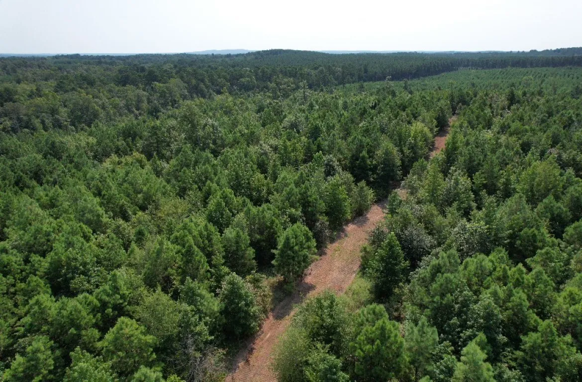 Ranch For Sale in Rusk County , TBD County Road 3163, Laneville, Texas 75667, 0, 0, Garage spaces, 0 Sqft, built in 0, Price $927,000, mls#20701510, Real Estate Agent in Laneville, Homes For Sale in Rusk county, Homes For Sale in Laneville, Realtor in Laneville Texas, Real Estate Brokerage Independent Realty Texas, Luminita Cordes Realtor