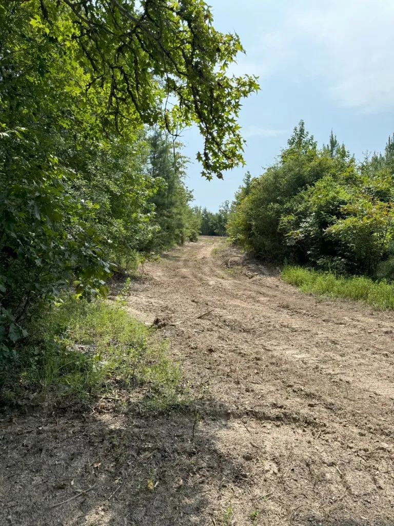 Ranch For Sale in Rusk County , TBD County Road 3163, Laneville, Texas 75667, 0, 0, Garage spaces, 0 Sqft, built in 0, Price $927,000, mls#20701510, Real Estate Agent in Laneville, Homes For Sale in Rusk county, Homes For Sale in Laneville, Realtor in Laneville Texas, Real Estate Brokerage Independent Realty Texas, Luminita Cordes Realtor