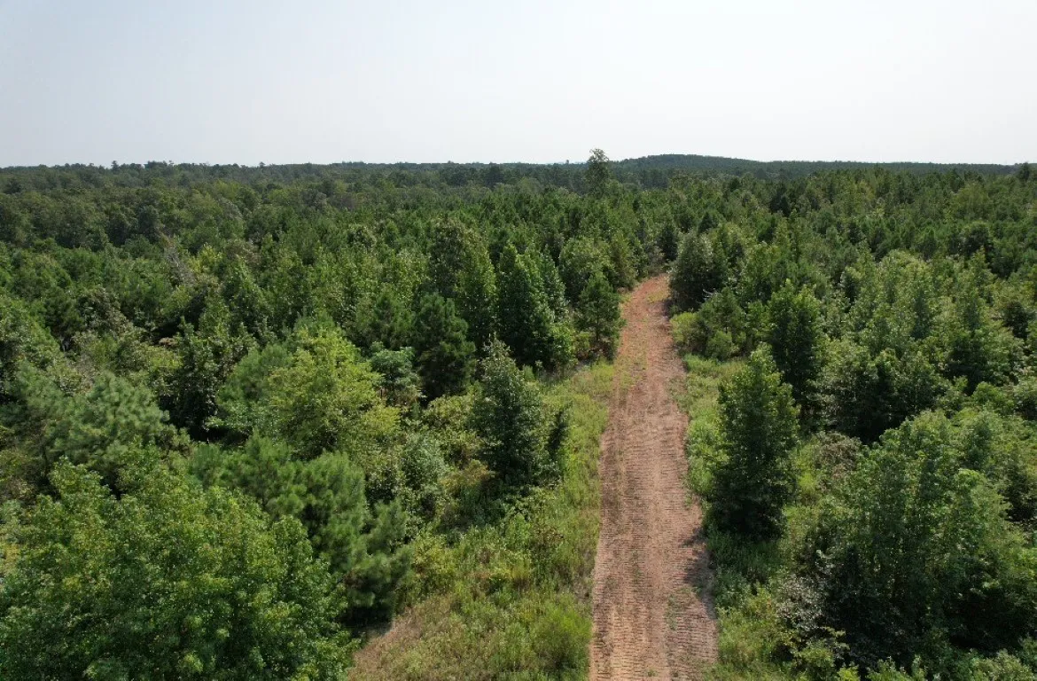 Ranch For Sale in Rusk County , TBD County Road 3163, Laneville, Texas 75667, 0, 0, Garage spaces, 0 Sqft, built in 0, Price $927,000, mls#20701510, Real Estate Agent in Laneville, Homes For Sale in Rusk county, Homes For Sale in Laneville, Realtor in Laneville Texas, Real Estate Brokerage Independent Realty Texas, Luminita Cordes Realtor