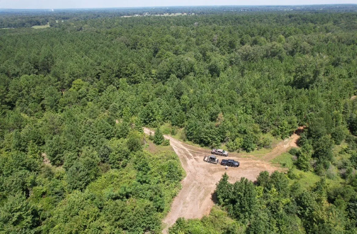 Ranch For Sale in Rusk County , TBD County Road 3163, Laneville, Texas 75667, 0, 0, Garage spaces, 0 Sqft, built in 0, Price $927,000, mls#20701510, Real Estate Agent in Laneville, Homes For Sale in Rusk county, Homes For Sale in Laneville, Realtor in Laneville Texas, Real Estate Brokerage Independent Realty Texas, Luminita Cordes Realtor