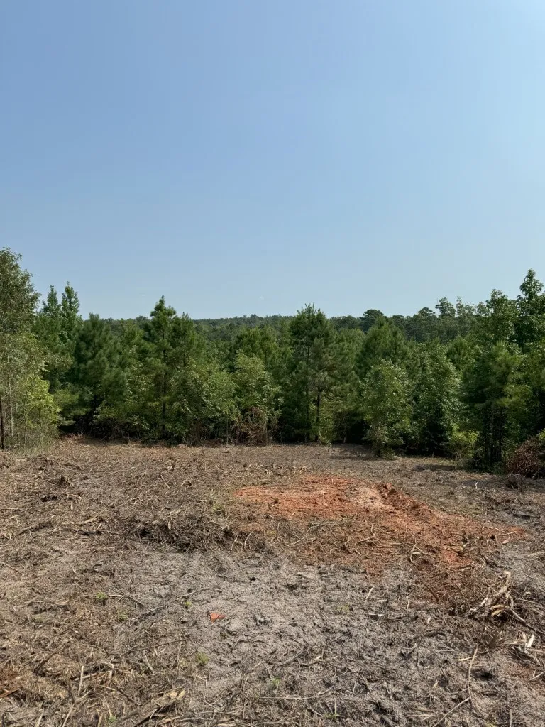 Ranch For Sale in Rusk County , TBD County Road 3163, Laneville, Texas 75667, 0, 0, Garage spaces, 0 Sqft, built in 0, Price $927,000, mls#20701510, Real Estate Agent in Laneville, Homes For Sale in Rusk county, Homes For Sale in Laneville, Realtor in Laneville Texas, Real Estate Brokerage Independent Realty Texas, Luminita Cordes Realtor