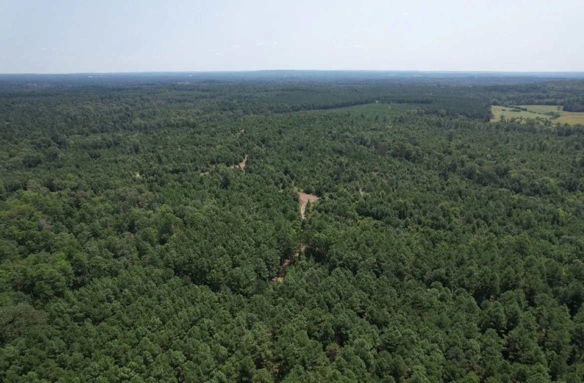 Ranch For Sale in Rusk County , TBD County Road 3163, Laneville, Texas 75667, 0, 0, Garage spaces, 0 Sqft, built in 0, Price $927,000, mls#20701510, Real Estate Agent in Laneville, Homes For Sale in Rusk county, Homes For Sale in Laneville, Realtor in Laneville Texas, Real Estate Brokerage Independent Realty Texas, Luminita Cordes Realtor
