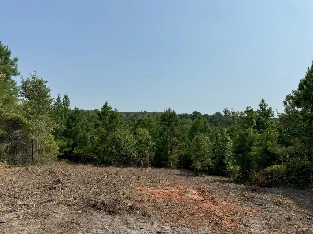 Ranch For Sale in Rusk County , TBD County Road 3163, Laneville, Texas 75667, 0, 0, Garage spaces, 0 Sqft, built in 0, Price $927,000, mls#20701510, Real Estate Agent in Laneville, Homes For Sale in Rusk county, Homes For Sale in Laneville, Realtor in Laneville Texas, Real Estate Brokerage Independent Realty Texas, Luminita Cordes Realtor