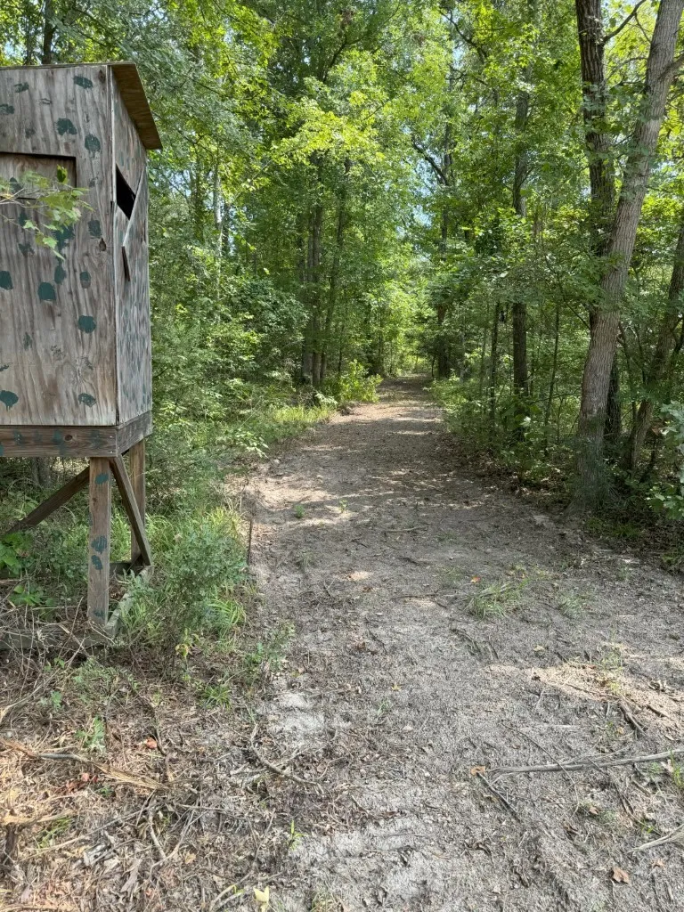 Ranch For Sale in Rusk County , TBD County Road 3163, Laneville, Texas 75667, 0, 0, Garage spaces, 0 Sqft, built in 0, Price $927,000, mls#20701510, Real Estate Agent in Laneville, Homes For Sale in Rusk county, Homes For Sale in Laneville, Realtor in Laneville Texas, Real Estate Brokerage Independent Realty Texas, Luminita Cordes Realtor