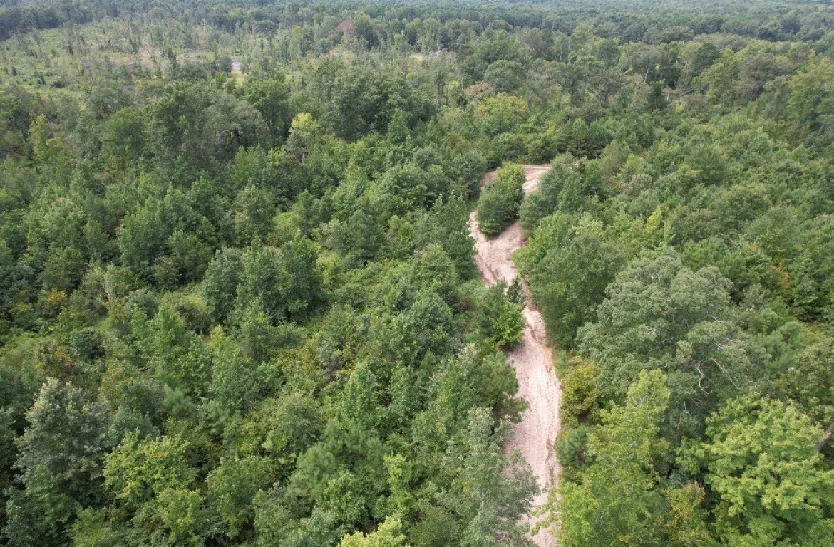 Ranch For Sale in Rusk County , TBD County Road 3163, Laneville, Texas 75667, 0, 0, Garage spaces, 0 Sqft, built in 0, Price $927,000, mls#20701510, Real Estate Agent in Laneville, Homes For Sale in Rusk county, Homes For Sale in Laneville, Realtor in Laneville Texas, Real Estate Brokerage Independent Realty Texas, Luminita Cordes Realtor