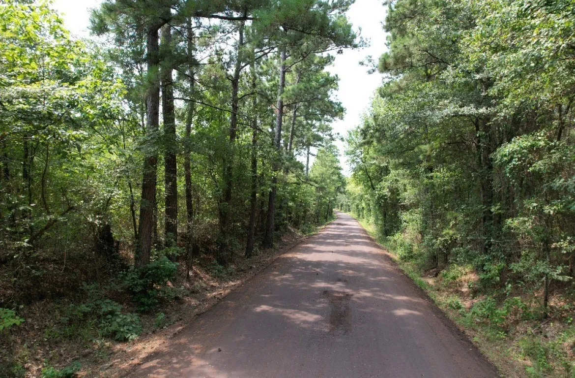 Ranch For Sale in Rusk County , TBD County Road 3163, Laneville, Texas 75667, 0, 0, Garage spaces, 0 Sqft, built in 0, Price $927,000, mls#20701510, Real Estate Agent in Laneville, Homes For Sale in Rusk county, Homes For Sale in Laneville, Realtor in Laneville Texas, Real Estate Brokerage Independent Realty Texas, Luminita Cordes Realtor