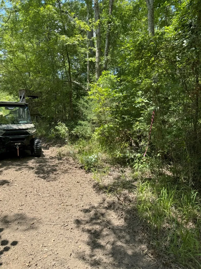 Ranch For Sale in Rusk County , TBD County Road 3163, Laneville, Texas 75667, 0, 0, Garage spaces, 0 Sqft, built in 0, Price $927,000, mls#20701510, Real Estate Agent in Laneville, Homes For Sale in Rusk county, Homes For Sale in Laneville, Realtor in Laneville Texas, Real Estate Brokerage Independent Realty Texas, Luminita Cordes Realtor
