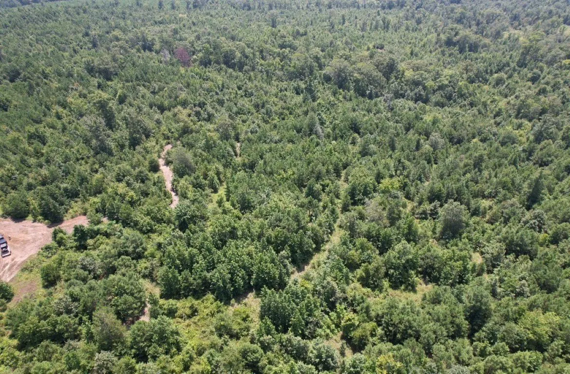 Ranch For Sale in Rusk County , TBD County Road 3163, Laneville, Texas 75667, 0, 0, Garage spaces, 0 Sqft, built in 0, Price $927,000, mls#20701510, Real Estate Agent in Laneville, Homes For Sale in Rusk county, Homes For Sale in Laneville, Realtor in Laneville Texas, Real Estate Brokerage Independent Realty Texas, Luminita Cordes Realtor