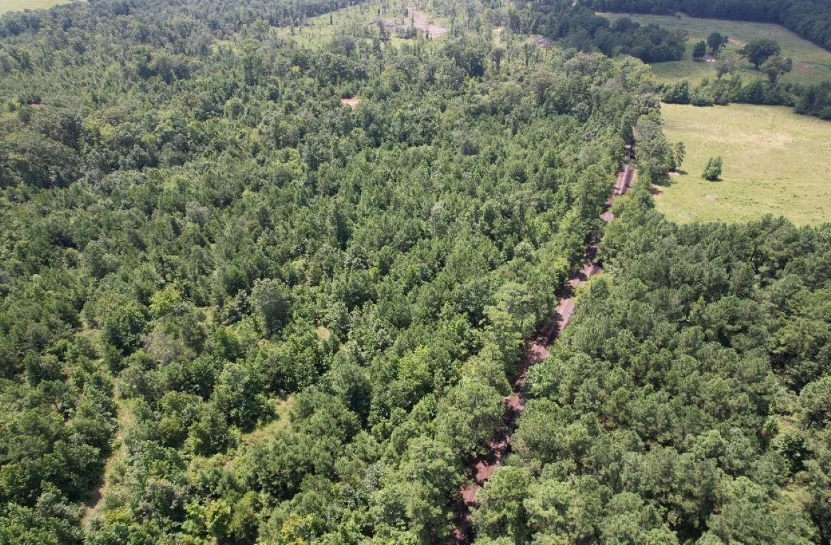 Ranch For Sale in Rusk County , TBD County Road 3163, Laneville, Texas 75667, 0, 0, Garage spaces, 0 Sqft, built in 0, Price $927,000, mls#20701510, Real Estate Agent in Laneville, Homes For Sale in Rusk county, Homes For Sale in Laneville, Realtor in Laneville Texas, Real Estate Brokerage Independent Realty Texas, Luminita Cordes Realtor