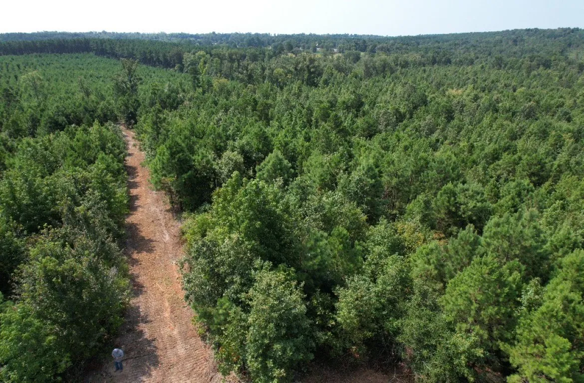 Ranch For Sale in Rusk County , TBD County Road 3163, Laneville, Texas 75667, 0, 0, Garage spaces, 0 Sqft, built in 0, Price $927,000, mls#20701510, Real Estate Agent in Laneville, Homes For Sale in Rusk county, Homes For Sale in Laneville, Realtor in Laneville Texas, Real Estate Brokerage Independent Realty Texas, Luminita Cordes Realtor