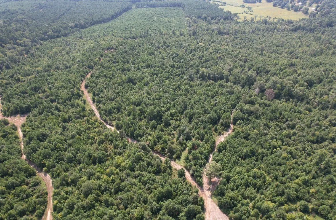 Ranch For Sale in Rusk County , TBD County Road 3163, Laneville, Texas 75667, 0, 0, Garage spaces, 0 Sqft, built in 0, Price $927,000, mls#20701510, Real Estate Agent in Laneville, Homes For Sale in Rusk county, Homes For Sale in Laneville, Realtor in Laneville Texas, Real Estate Brokerage Independent Realty Texas, Luminita Cordes Realtor