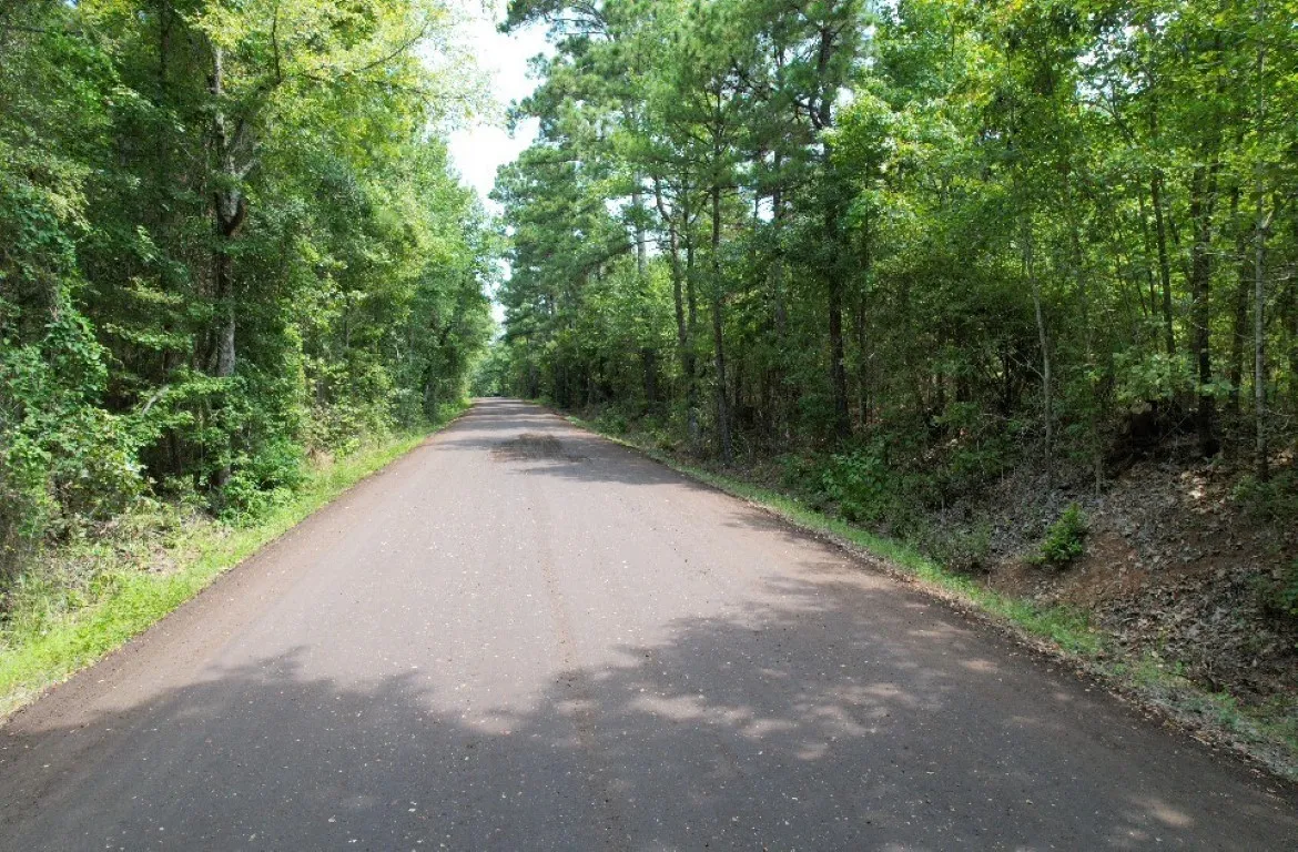 Ranch For Sale in Rusk County , TBD County Road 3163, Laneville, Texas 75667, 0, 0, Garage spaces, 0 Sqft, built in 0, Price $927,000, mls#20701510, Real Estate Agent in Laneville, Homes For Sale in Rusk county, Homes For Sale in Laneville, Realtor in Laneville Texas, Real Estate Brokerage Independent Realty Texas, Luminita Cordes Realtor