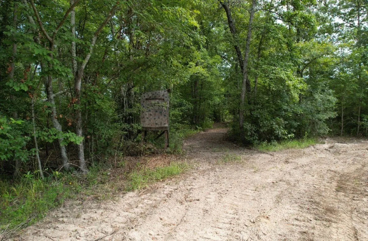 Ranch For Sale in Rusk County , TBD County Road 3163, Laneville, Texas 75667, 0, 0, Garage spaces, 0 Sqft, built in 0, Price $927,000, mls#20701510, Real Estate Agent in Laneville, Homes For Sale in Rusk county, Homes For Sale in Laneville, Realtor in Laneville Texas, Real Estate Brokerage Independent Realty Texas, Luminita Cordes Realtor