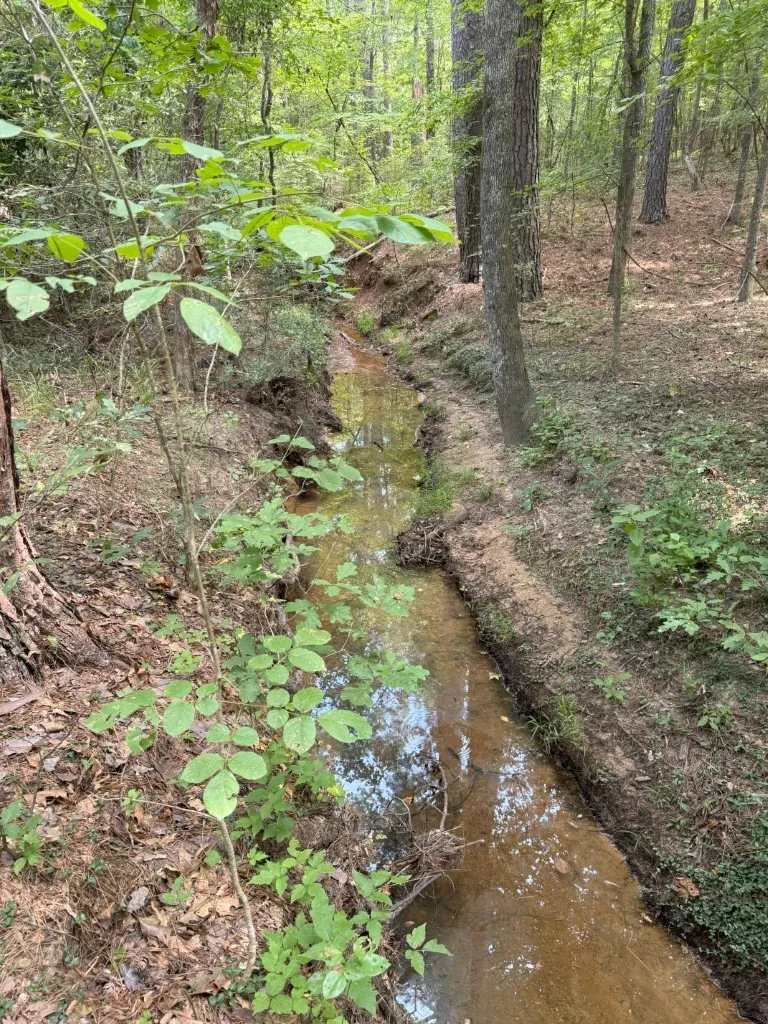 Ranch For Sale in Rusk County , TBD County Road 3163, Laneville, Texas 75667, 0, 0, Garage spaces, 0 Sqft, built in 0, Price $927,000, mls#20701510, Real Estate Agent in Laneville, Homes For Sale in Rusk county, Homes For Sale in Laneville, Realtor in Laneville Texas, Real Estate Brokerage Independent Realty Texas, Luminita Cordes Realtor