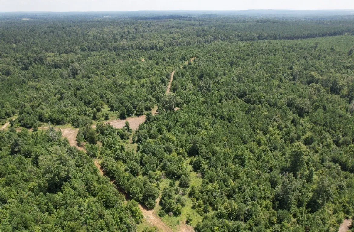 Ranch For Sale in Rusk County , TBD County Road 3163, Laneville, Texas 75667, 0, 0, Garage spaces, 0 Sqft, built in 0, Price $927,000, mls#20701510, Real Estate Agent in Laneville, Homes For Sale in Rusk county, Homes For Sale in Laneville, Realtor in Laneville Texas, Real Estate Brokerage Independent Realty Texas, Luminita Cordes Realtor