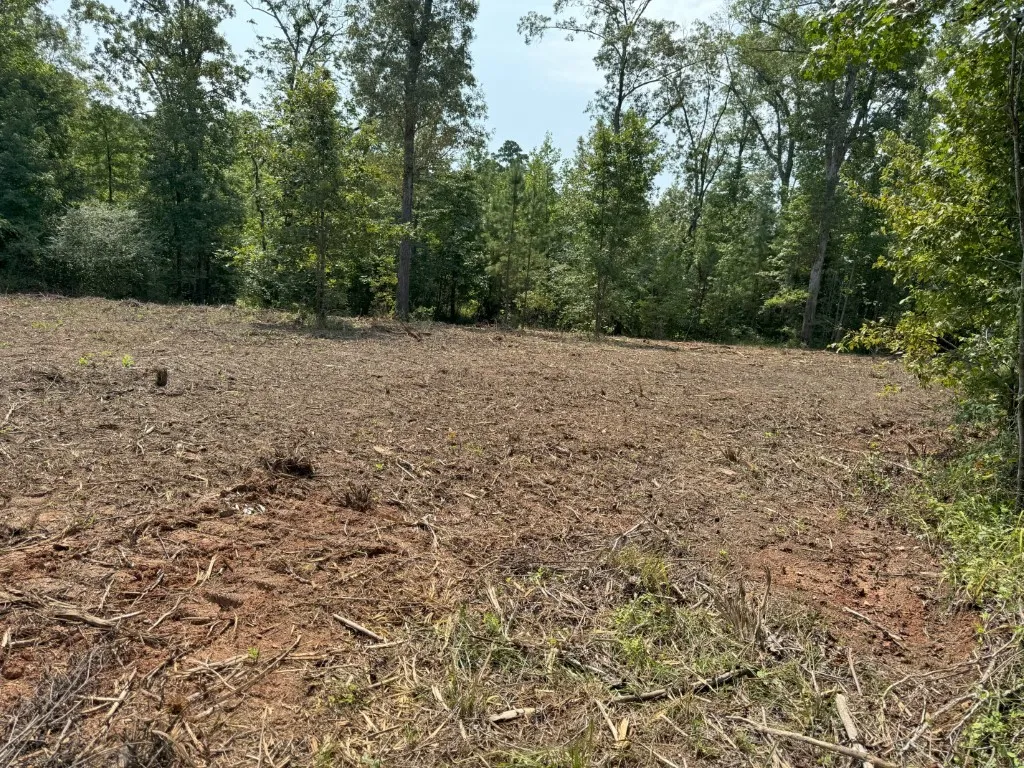 Ranch For Sale in Rusk County , TBD County Road 3163, Laneville, Texas 75667, 0, 0, Garage spaces, 0 Sqft, built in 0, Price $927,000, mls#20701510, Real Estate Agent in Laneville, Homes For Sale in Rusk county, Homes For Sale in Laneville, Realtor in Laneville Texas, Real Estate Brokerage Independent Realty Texas, Luminita Cordes Realtor
