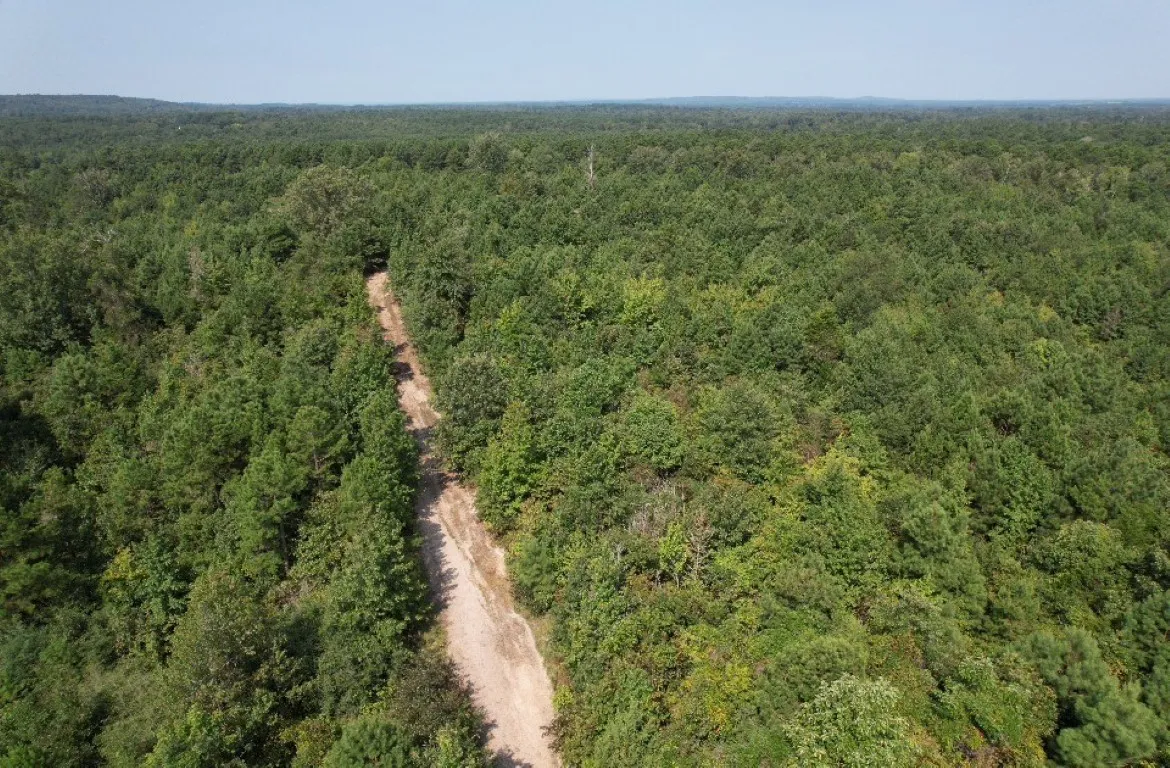 Ranch For Sale in Rusk County , TBD County Road 3163, Laneville, Texas 75667, 0, 0, Garage spaces, 0 Sqft, built in 0, Price $927,000, mls#20701510, Real Estate Agent in Laneville, Homes For Sale in Rusk county, Homes For Sale in Laneville, Realtor in Laneville Texas, Real Estate Brokerage Independent Realty Texas, Luminita Cordes Realtor