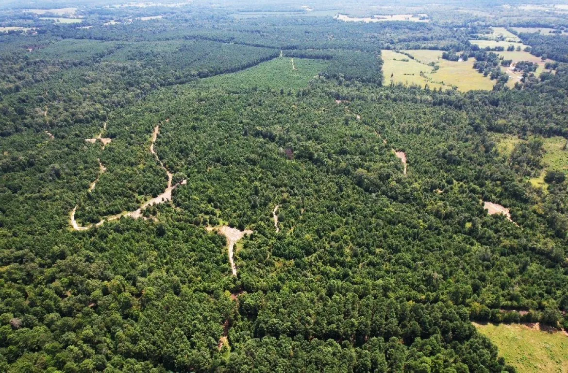 Ranch For Sale in Rusk County , TBD County Road 3163, Laneville, Texas 75667, 0, 0, Garage spaces, 0 Sqft, built in 0, Price $927,000, mls#20701510, Real Estate Agent in Laneville, Homes For Sale in Rusk county, Homes For Sale in Laneville, Realtor in Laneville Texas, Real Estate Brokerage Independent Realty Texas, Luminita Cordes Realtor