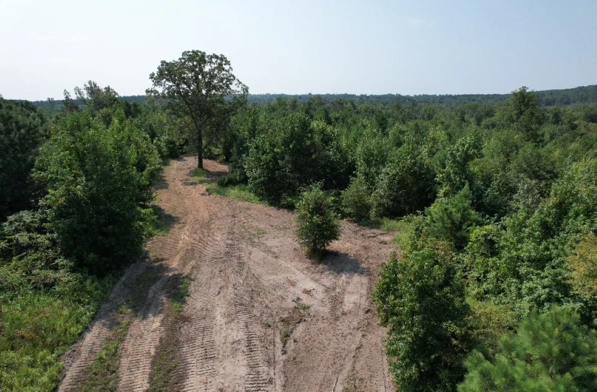 Ranch For Sale in Rusk County , TBD County Road 3163, Laneville, Texas 75667, 0, 0, Garage spaces, 0 Sqft, built in 0, Price $927,000, mls#20701510, Real Estate Agent in Laneville, Homes For Sale in Rusk county, Homes For Sale in Laneville, Realtor in Laneville Texas, Real Estate Brokerage Independent Realty Texas, Luminita Cordes Realtor