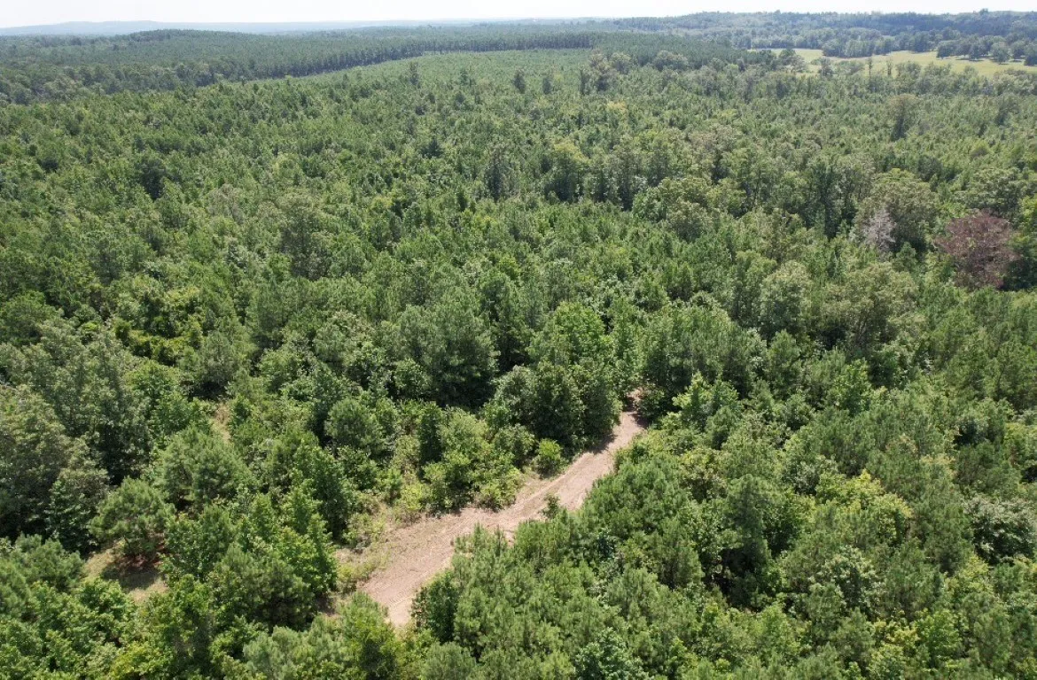 Ranch For Sale in Rusk County , TBD County Road 3163, Laneville, Texas 75667, 0, 0, Garage spaces, 0 Sqft, built in 0, Price $927,000, mls#20701510, Real Estate Agent in Laneville, Homes For Sale in Rusk county, Homes For Sale in Laneville, Realtor in Laneville Texas, Real Estate Brokerage Independent Realty Texas, Luminita Cordes Realtor