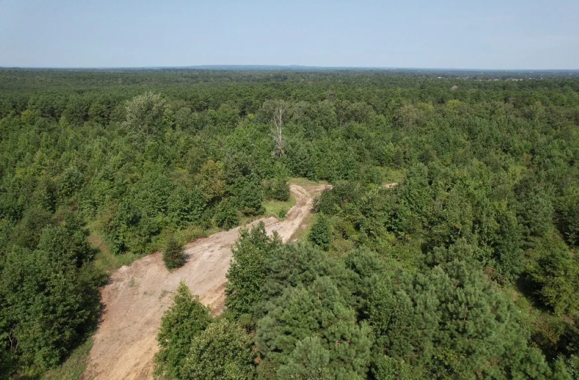 Ranch For Sale in Rusk County , TBD County Road 3163, Laneville, Texas 75667, 0, 0, Garage spaces, 0 Sqft, built in 0, Price $927,000, mls#20701510, Real Estate Agent in Laneville, Homes For Sale in Rusk county, Homes For Sale in Laneville, Realtor in Laneville Texas, Real Estate Brokerage Independent Realty Texas, Luminita Cordes Realtor
