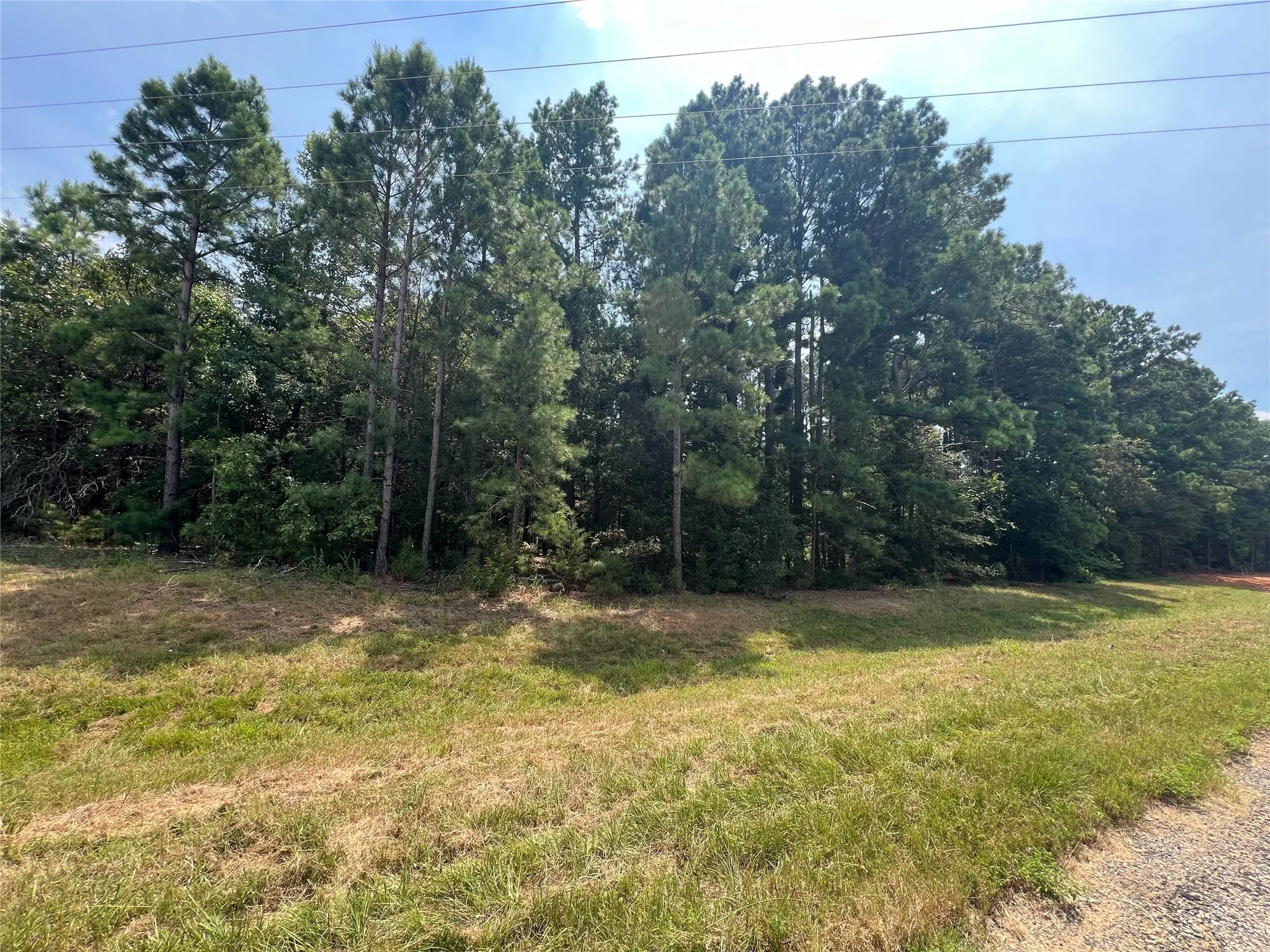 Unimproved Land For Sale in Camp County , TBD FM 1520, Pittsburg, Texas 75686, 0, 0, Garage spaces, 0 Sqft, built in 0, mls#20702879, Real Estate Agent in Pittsburg, Homes For Sale in Camp county, Homes For Sale in Pittsburg, Realtor in Pittsburg Texas, Real Estate Brokerage Independent Realty Texas, Luminita Cordes Realtor
