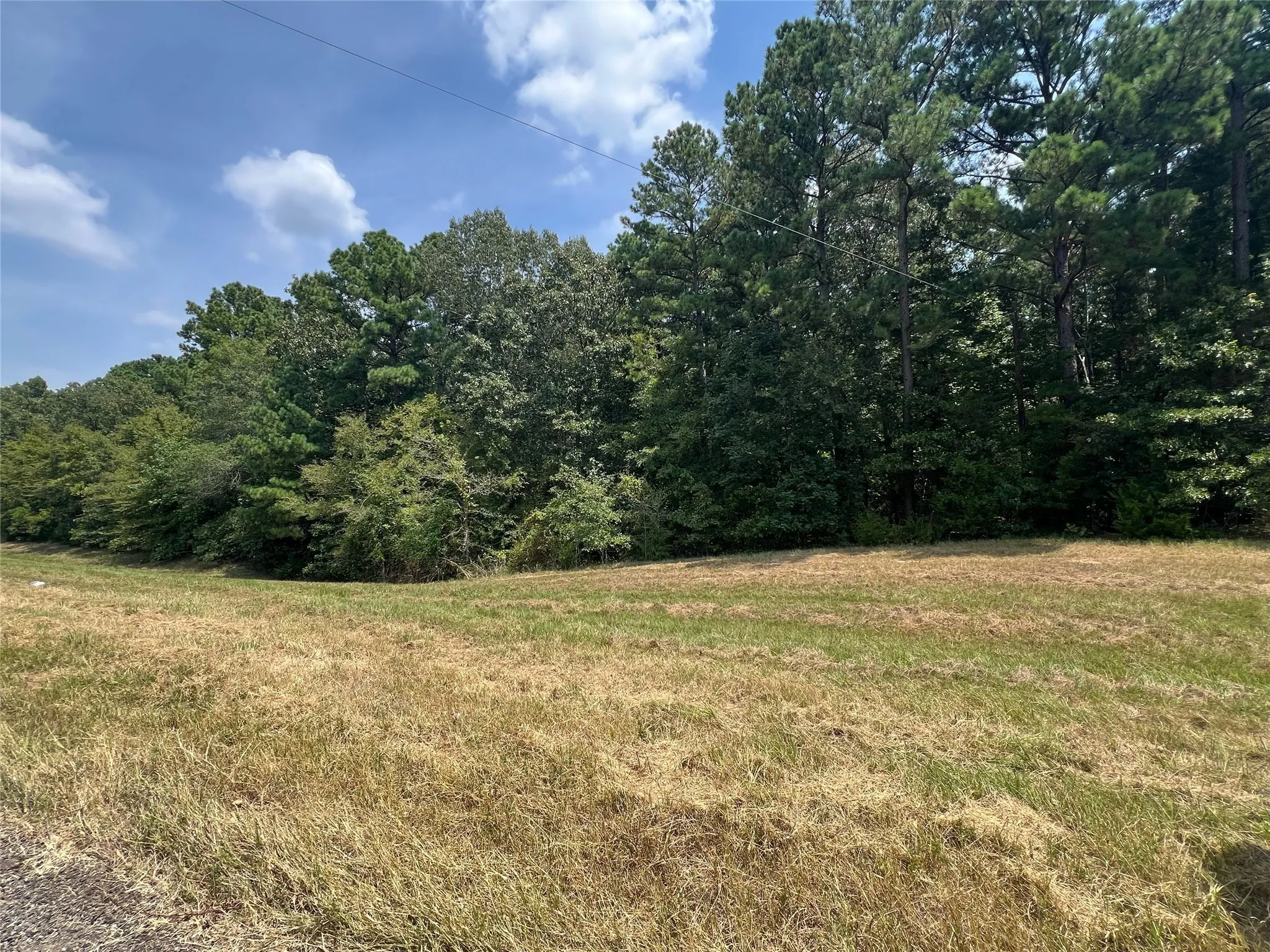 Unimproved Land For Sale in Camp County , 0 FM 1520, Pittsburg, Texas 75686, 0, 0, Garage spaces, 0 Sqft, built in 0, Price $180,000, mls#20702900, Real Estate Agent in Pittsburg, Homes For Sale in Camp county, Homes For Sale in Pittsburg, Realtor in Pittsburg Texas, Real Estate Brokerage Independent Realty Texas, Luminita Cordes Realtor