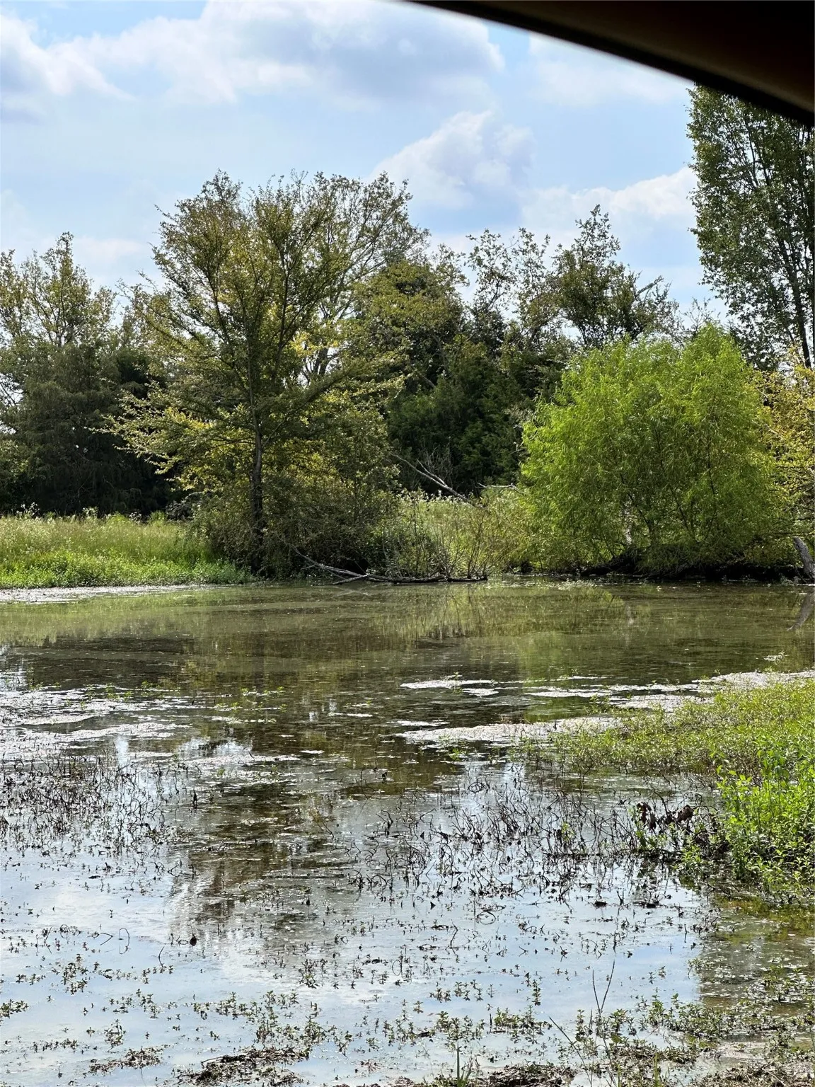 Unimproved Land For Sale in Van Zandt County , 200 VZ CR 2422, Mabank, Texas 75147, 0, 0, Garage spaces, 0 Sqft, built in 0, mls#20702858, Real Estate Agent in Mabank, Homes For Sale in Van Zandt county, Homes For Sale in Mabank, Realtor in Mabank Texas, Real Estate Brokerage Independent Realty Texas, Luminita Cordes Realtor