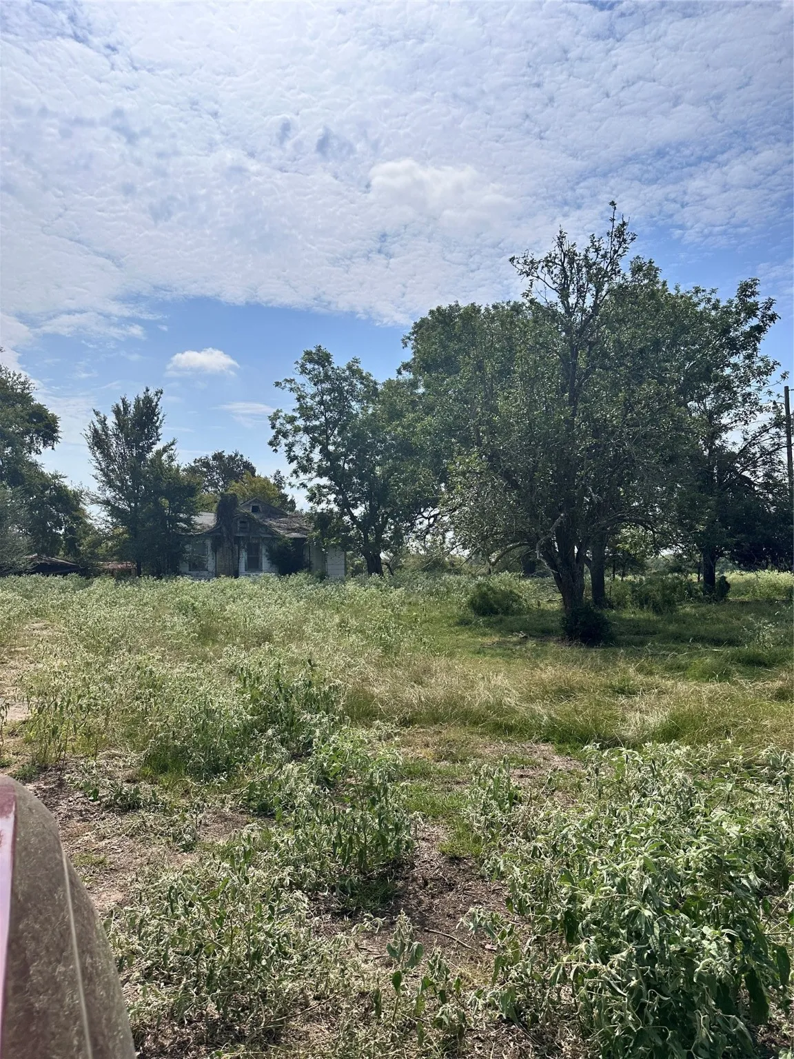 Unimproved Land For Sale in Van Zandt County , 200 VZ CR 2422, Mabank, Texas 75147, 0, 0, Garage spaces, 0 Sqft, built in 0, mls#20702858, Real Estate Agent in Mabank, Homes For Sale in Van Zandt county, Homes For Sale in Mabank, Realtor in Mabank Texas, Real Estate Brokerage Independent Realty Texas, Luminita Cordes Realtor