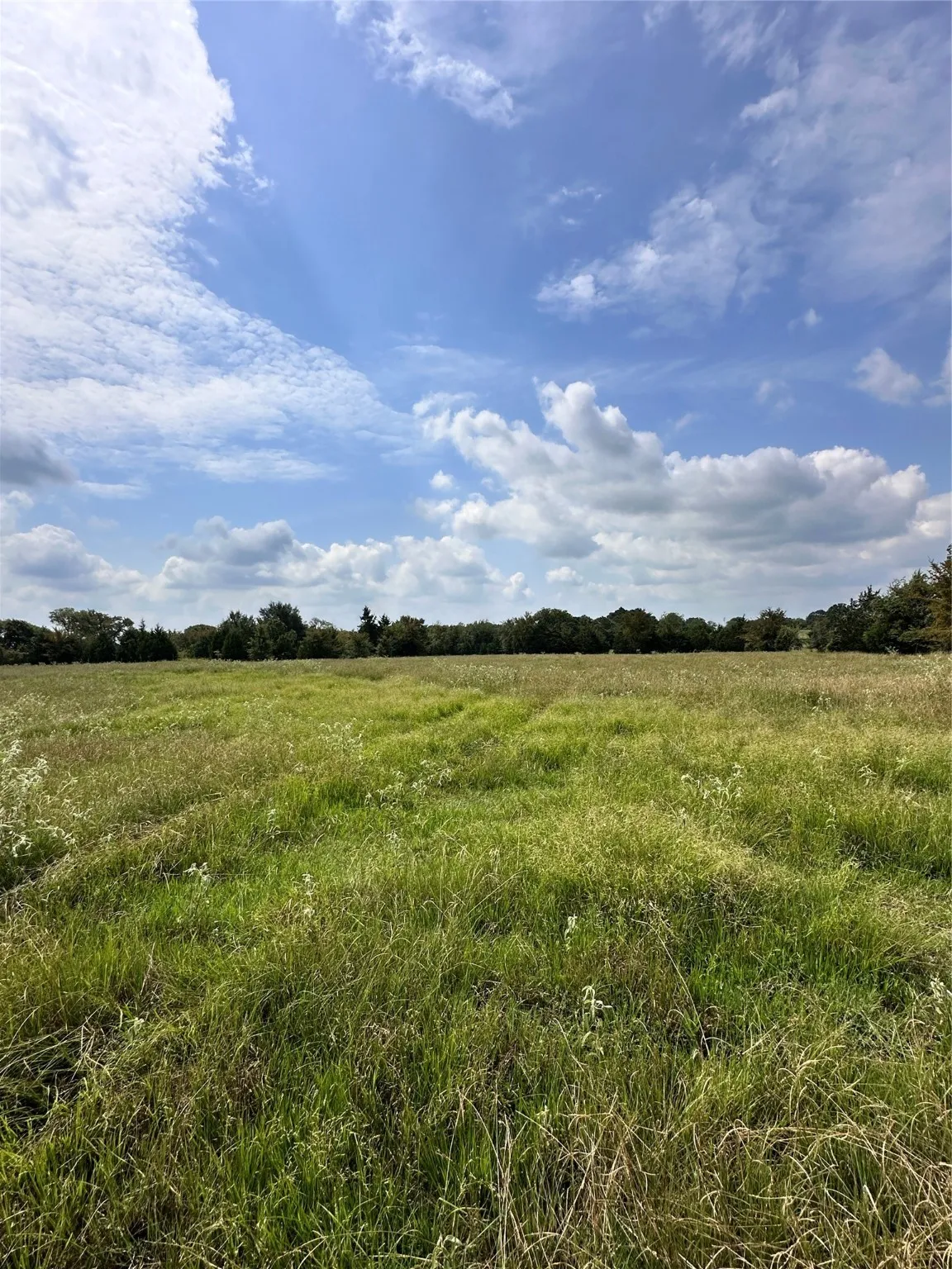 Unimproved Land For Sale in Van Zandt County , 200 VZ CR 2422, Mabank, Texas 75147, 0, 0, Garage spaces, 0 Sqft, built in 0, mls#20702858, Real Estate Agent in Mabank, Homes For Sale in Van Zandt county, Homes For Sale in Mabank, Realtor in Mabank Texas, Real Estate Brokerage Independent Realty Texas, Luminita Cordes Realtor