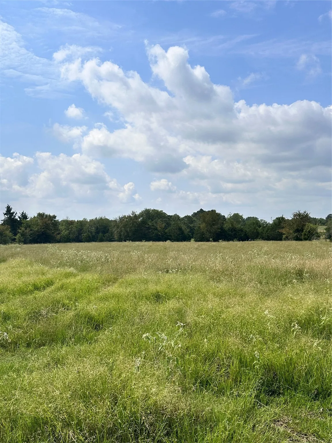 Unimproved Land For Sale in Van Zandt County , 200 VZ CR 2422, Mabank, Texas 75147, 0, 0, Garage spaces, 0 Sqft, built in 0, mls#20702858, Real Estate Agent in Mabank, Homes For Sale in Van Zandt county, Homes For Sale in Mabank, Realtor in Mabank Texas, Real Estate Brokerage Independent Realty Texas, Luminita Cordes Realtor