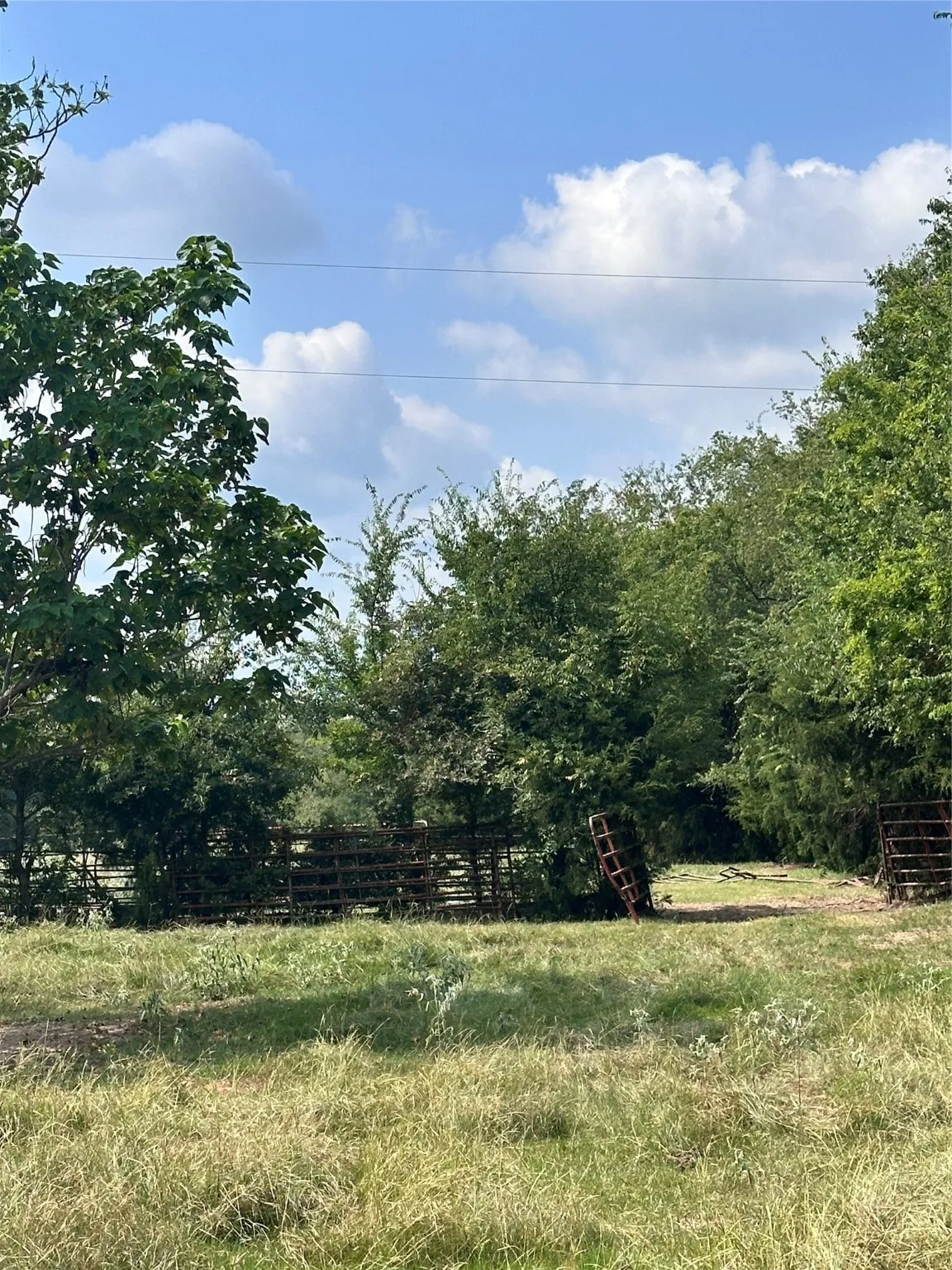 Unimproved Land For Sale in Van Zandt County , 200 VZ CR 2422, Mabank, Texas 75147, 0, 0, Garage spaces, 0 Sqft, built in 0, mls#20702858, Real Estate Agent in Mabank, Homes For Sale in Van Zandt county, Homes For Sale in Mabank, Realtor in Mabank Texas, Real Estate Brokerage Independent Realty Texas, Luminita Cordes Realtor
