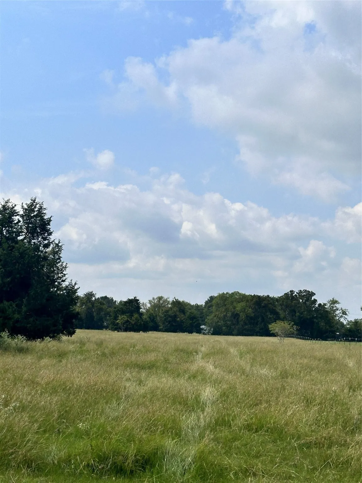 Unimproved Land For Sale in Van Zandt County , 200 VZ CR 2422, Mabank, Texas 75147, 0, 0, Garage spaces, 0 Sqft, built in 0, mls#20702858, Real Estate Agent in Mabank, Homes For Sale in Van Zandt county, Homes For Sale in Mabank, Realtor in Mabank Texas, Real Estate Brokerage Independent Realty Texas, Luminita Cordes Realtor