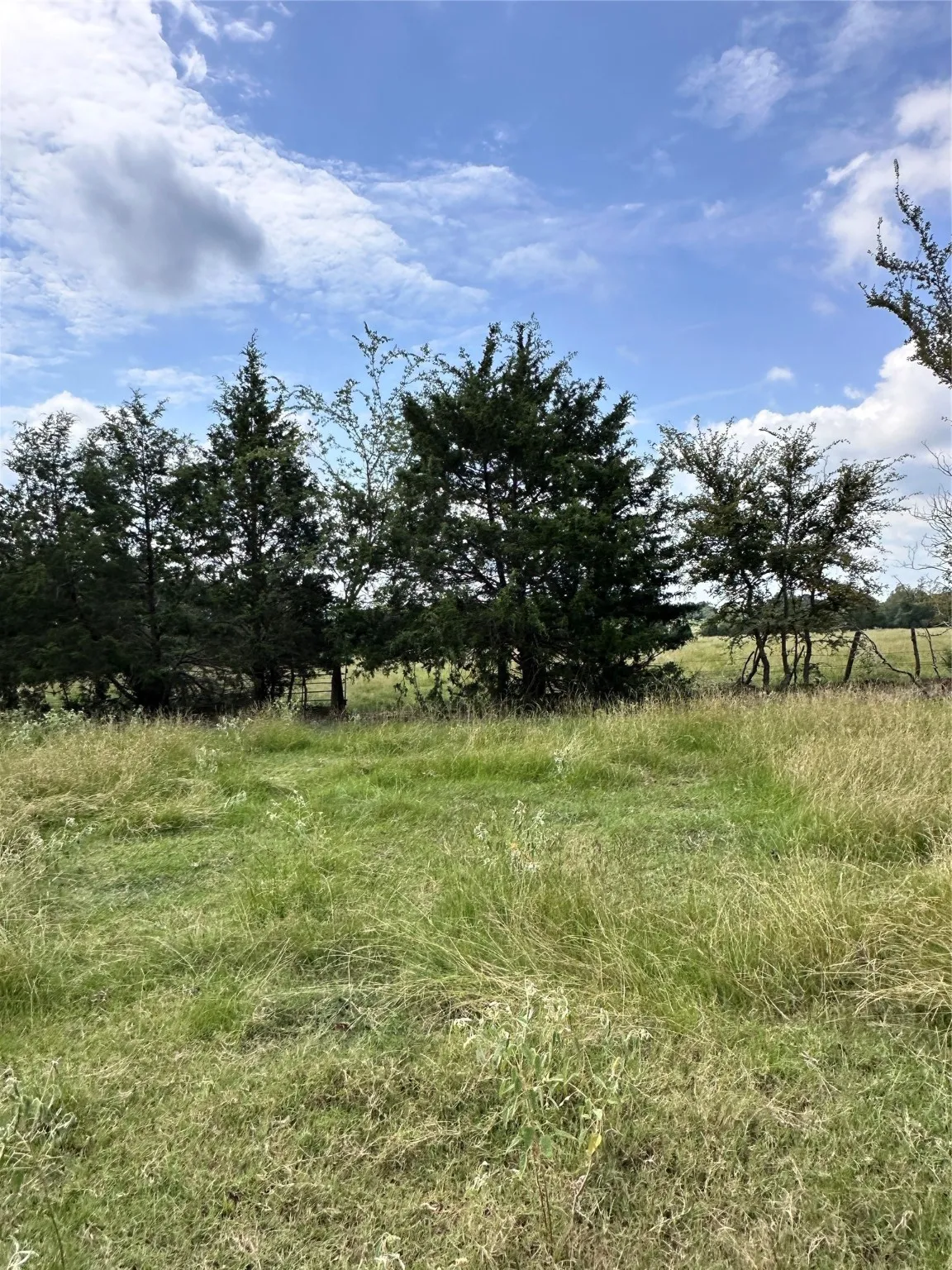 Unimproved Land For Sale in Van Zandt County , 200 VZ CR 2422, Mabank, Texas 75147, 0, 0, Garage spaces, 0 Sqft, built in 0, mls#20702858, Real Estate Agent in Mabank, Homes For Sale in Van Zandt county, Homes For Sale in Mabank, Realtor in Mabank Texas, Real Estate Brokerage Independent Realty Texas, Luminita Cordes Realtor