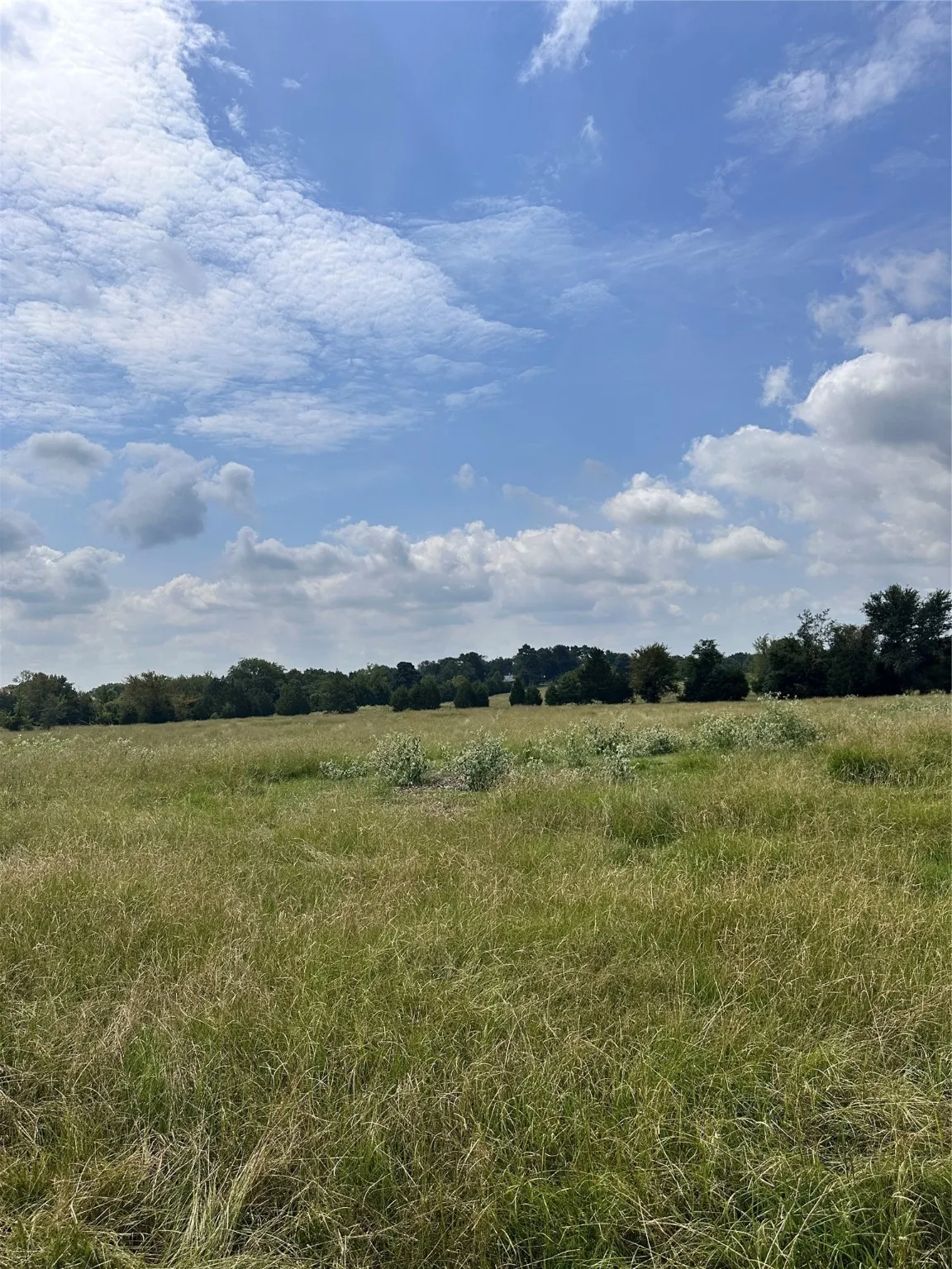 Unimproved Land For Sale in Van Zandt County , 200 VZ CR 2422, Mabank, Texas 75147, 0, 0, Garage spaces, 0 Sqft, built in 0, mls#20702858, Real Estate Agent in Mabank, Homes For Sale in Van Zandt county, Homes For Sale in Mabank, Realtor in Mabank Texas, Real Estate Brokerage Independent Realty Texas, Luminita Cordes Realtor